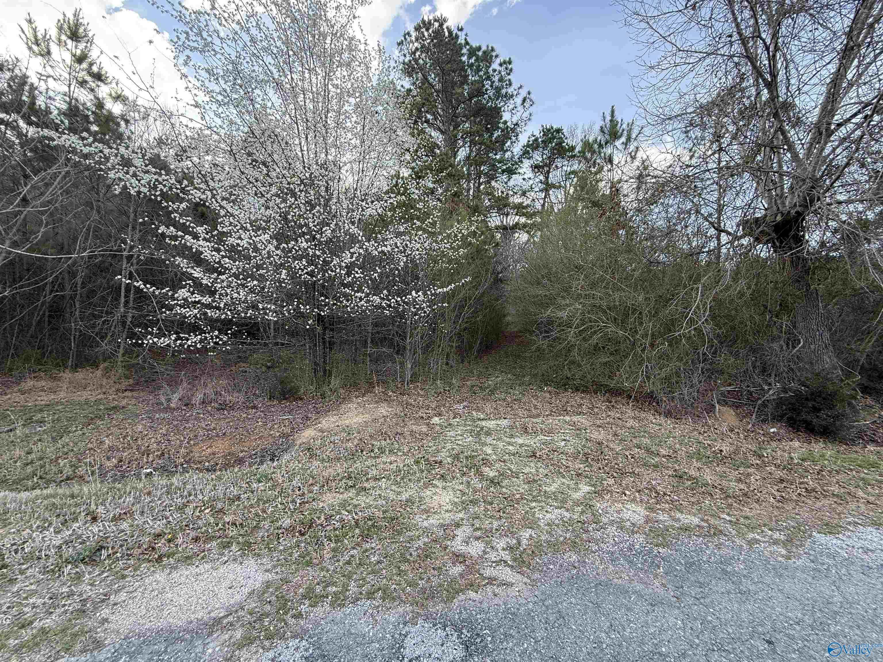 2113 Buster Willett Road