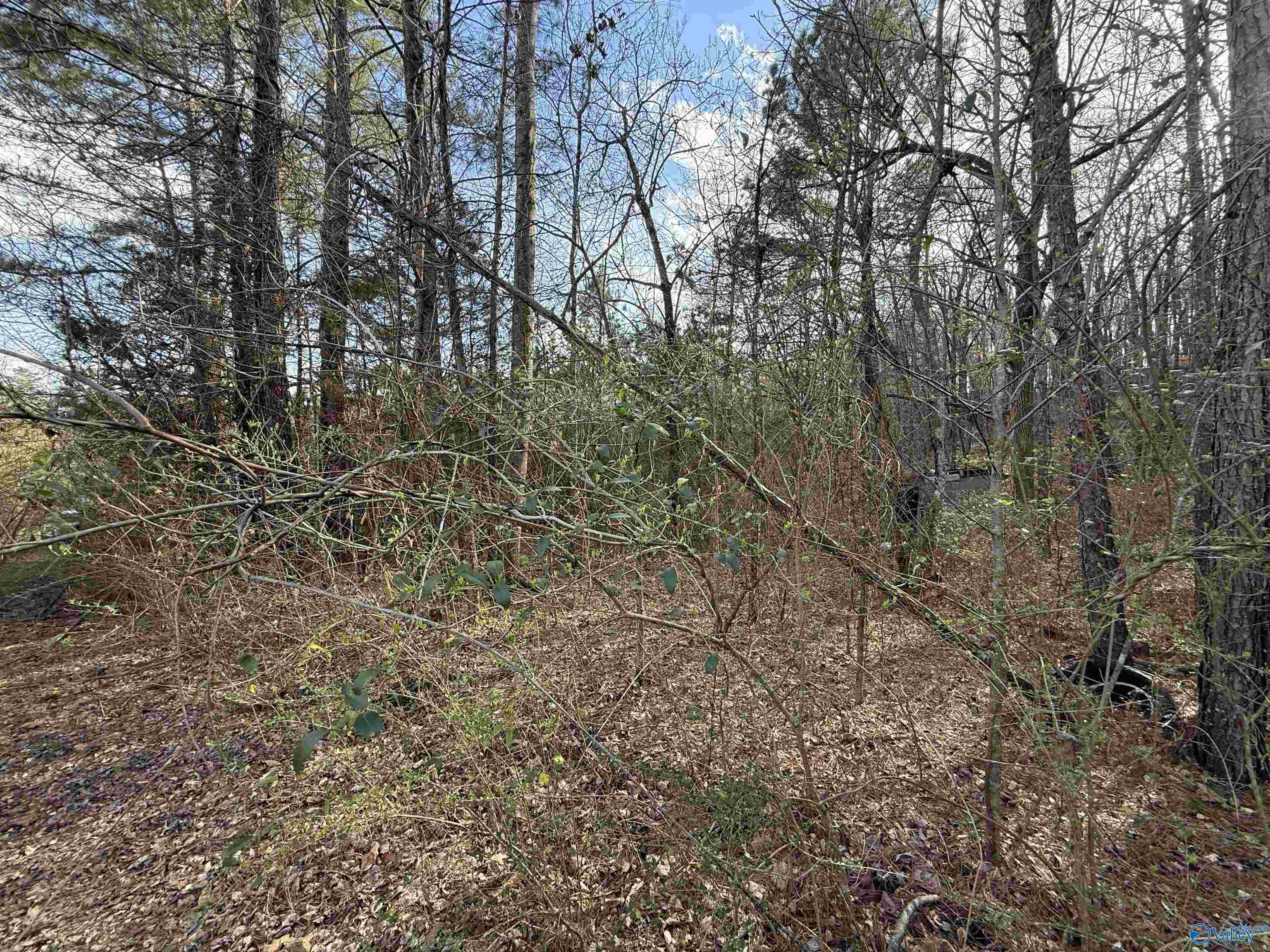 2113 Buster Willett Road