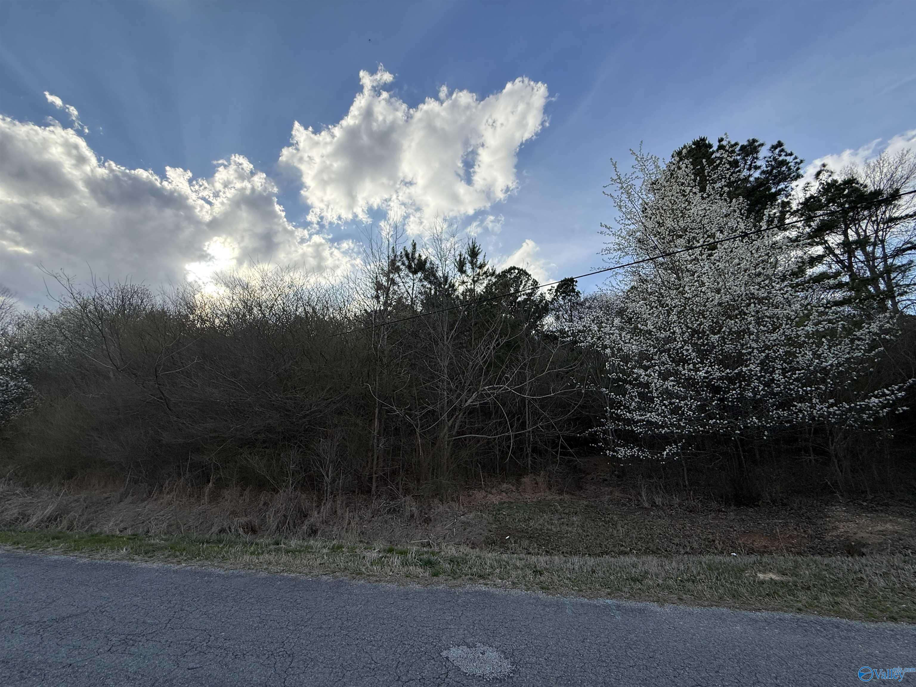 2113 Buster Willett Road