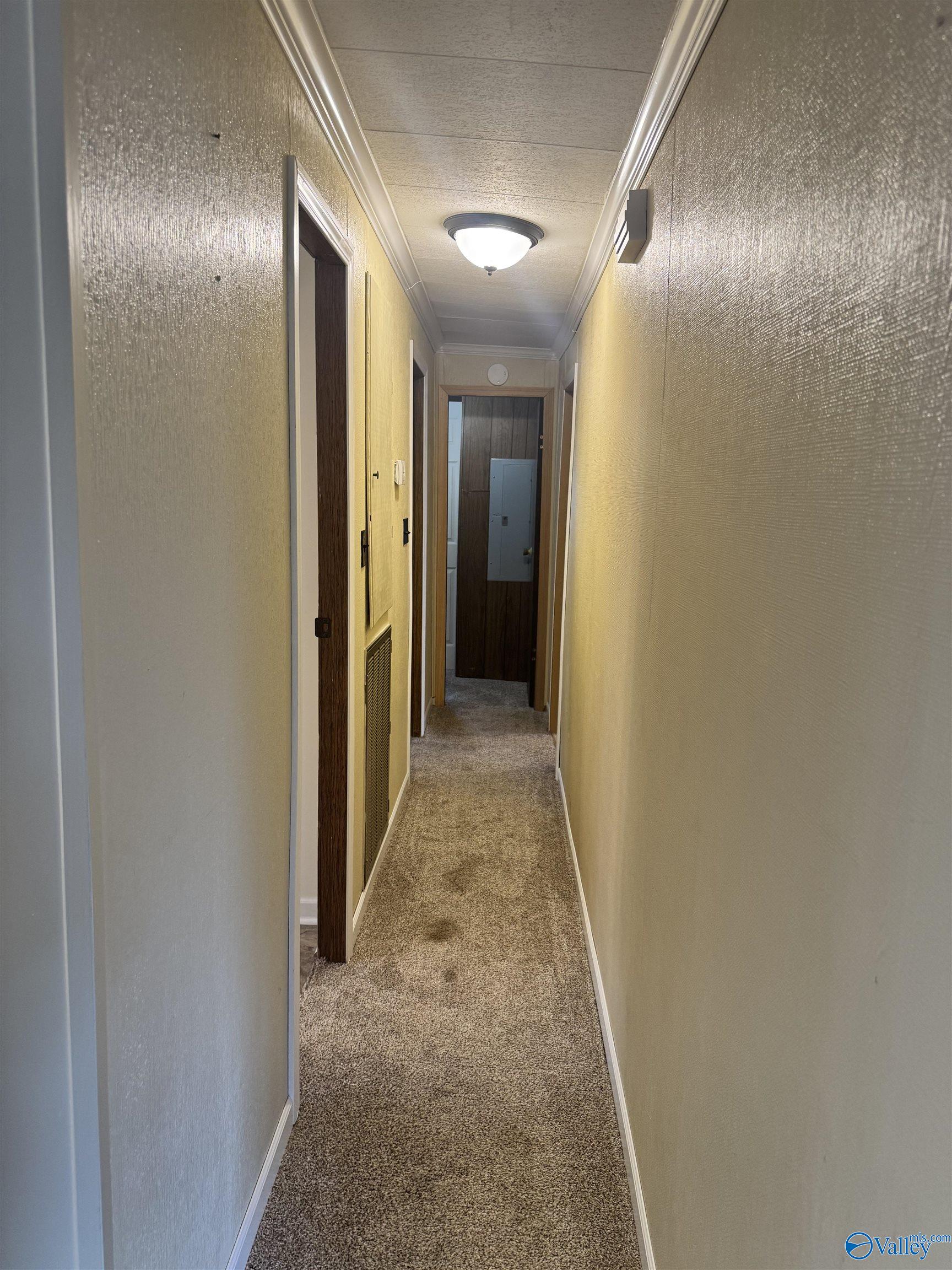 40 County Road 311