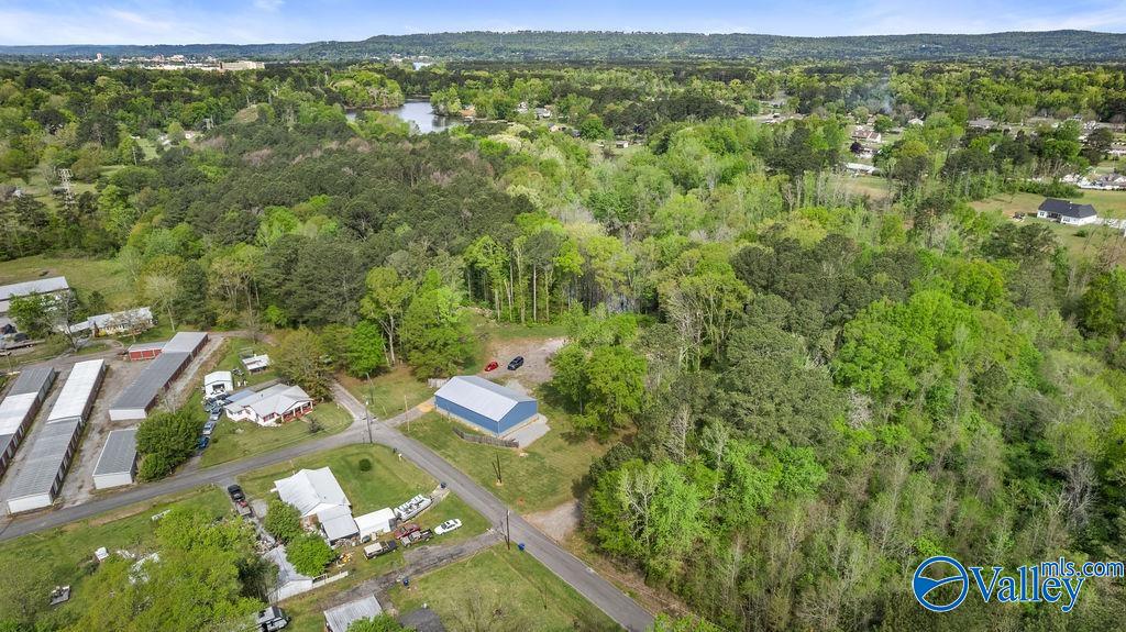 1590 Mccluney Street