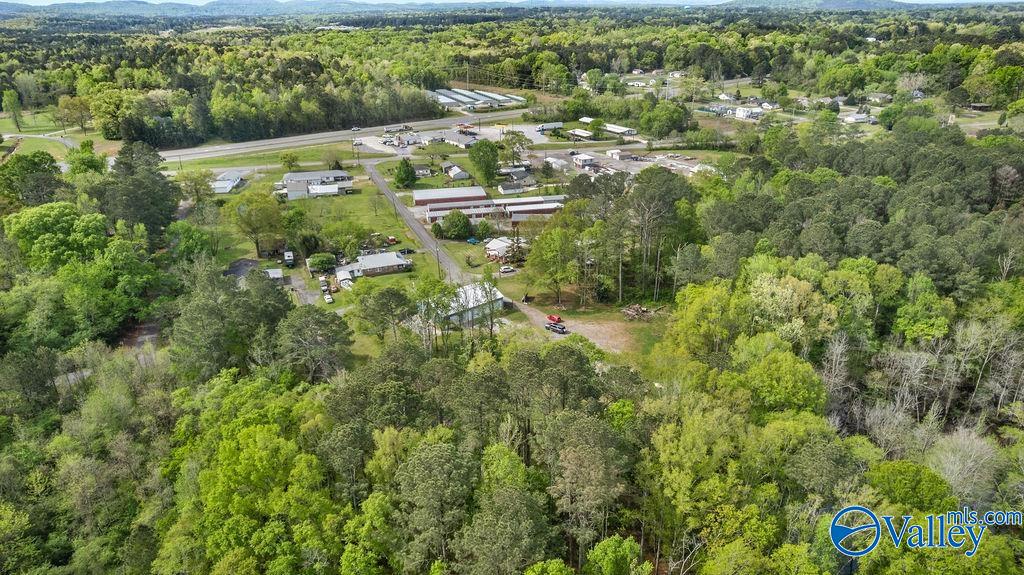 1590 Mccluney Street