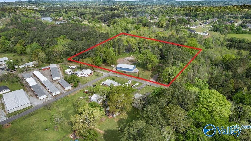 1590 Mccluney Street