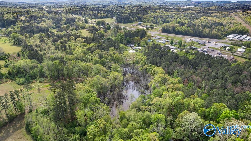 1590 Mccluney Street