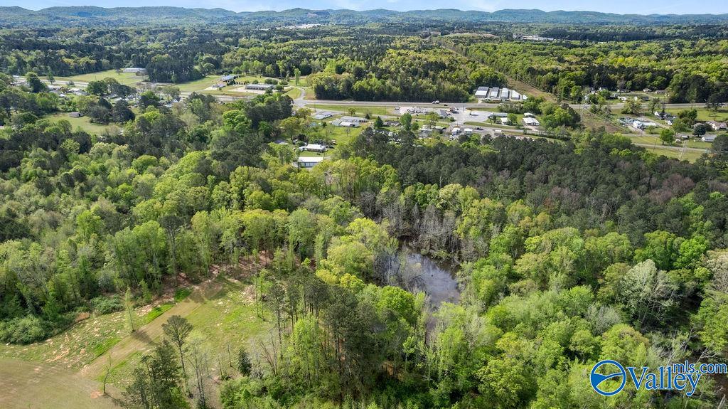 1590 Mccluney Street