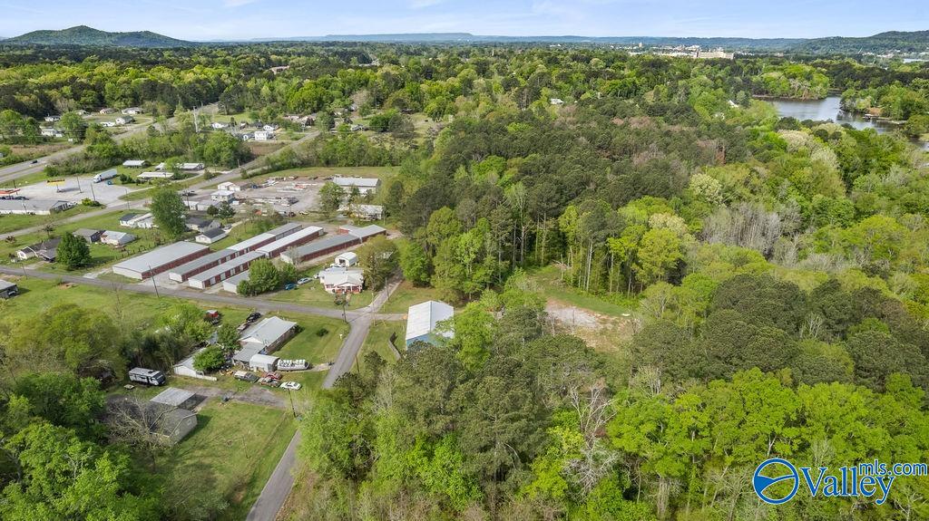 1590 Mccluney Street