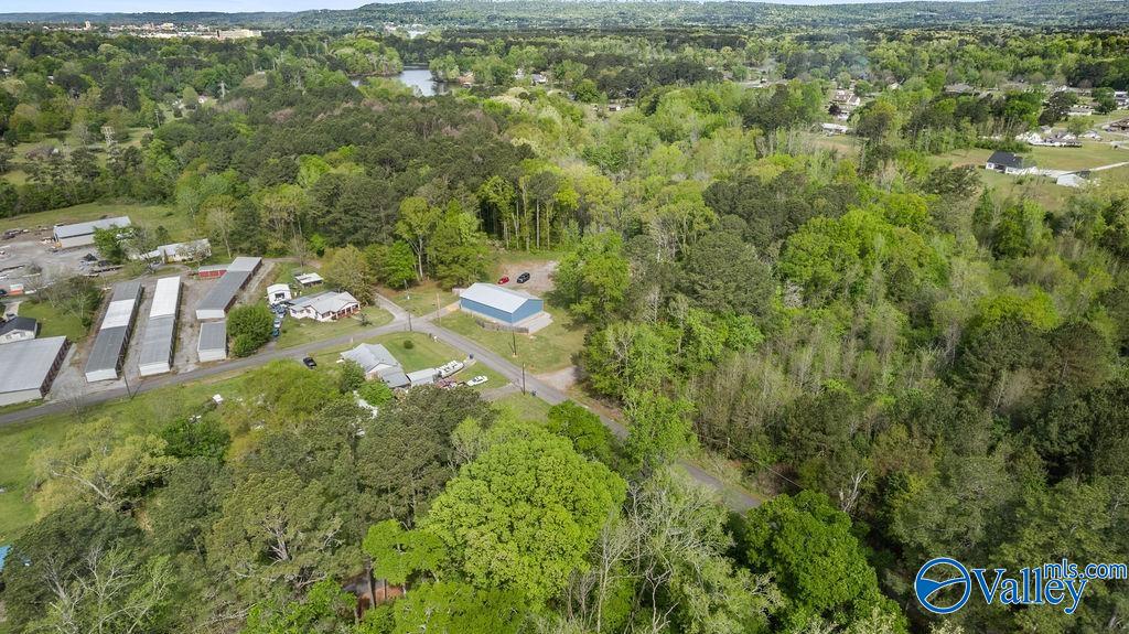 1590 Mccluney Street