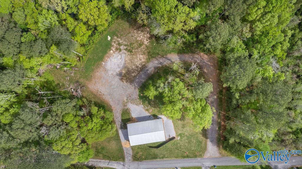 1590 Mccluney Street