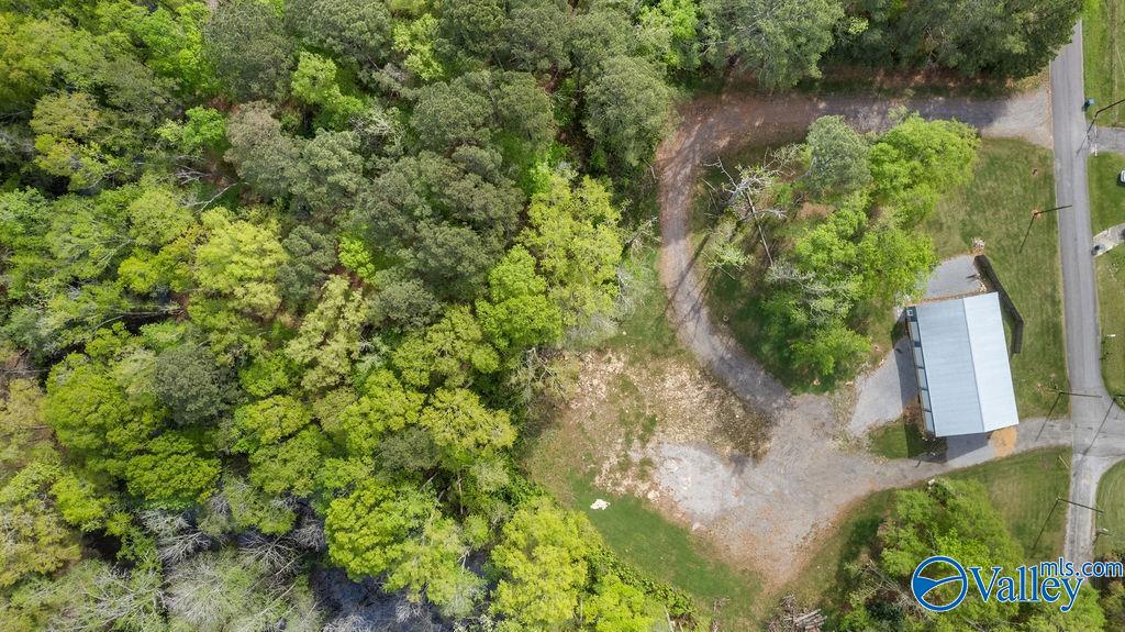 1590 Mccluney Street