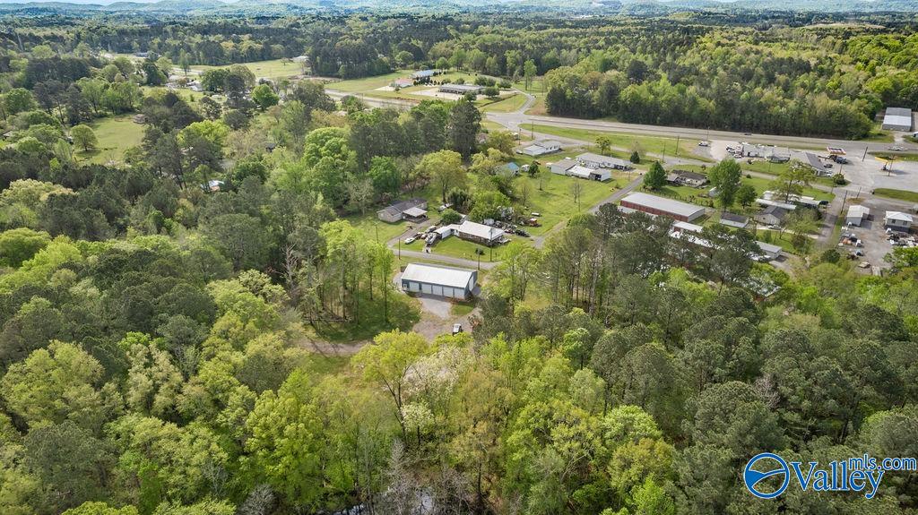 1590 Mccluney Street