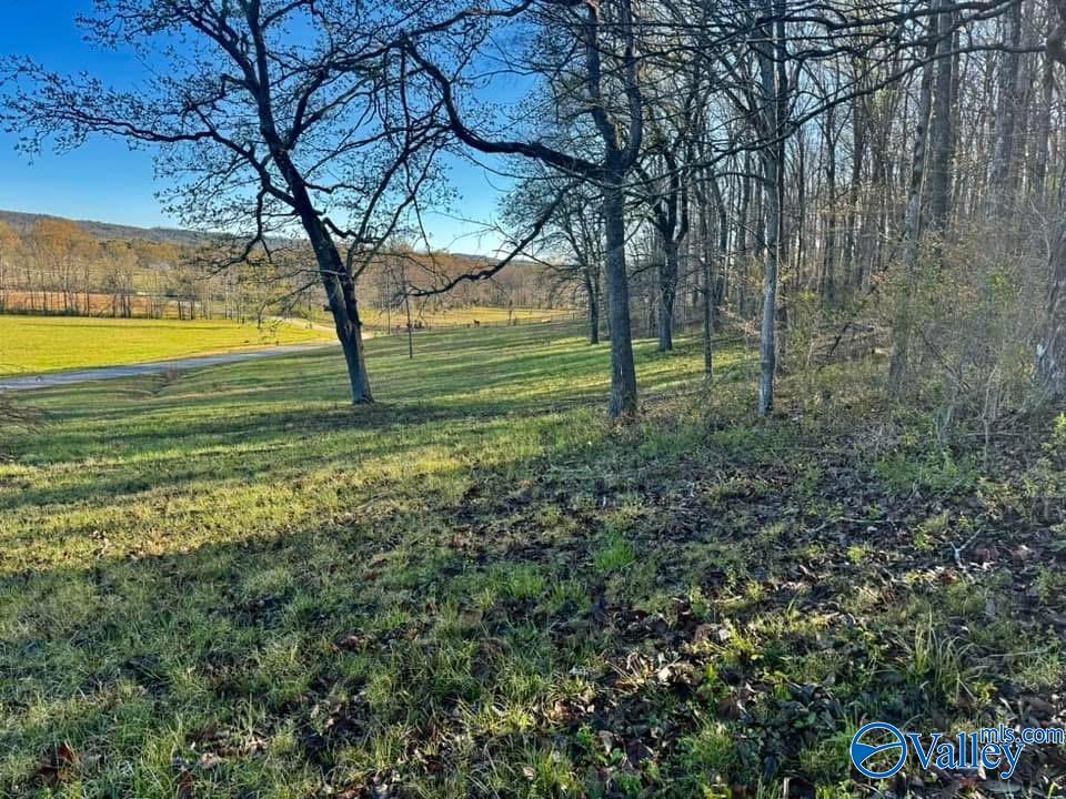 741 Poplar Springs Trail