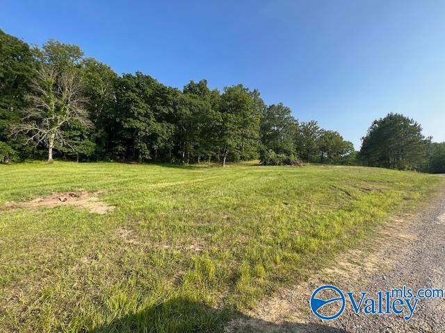 741 Poplar Springs Trail