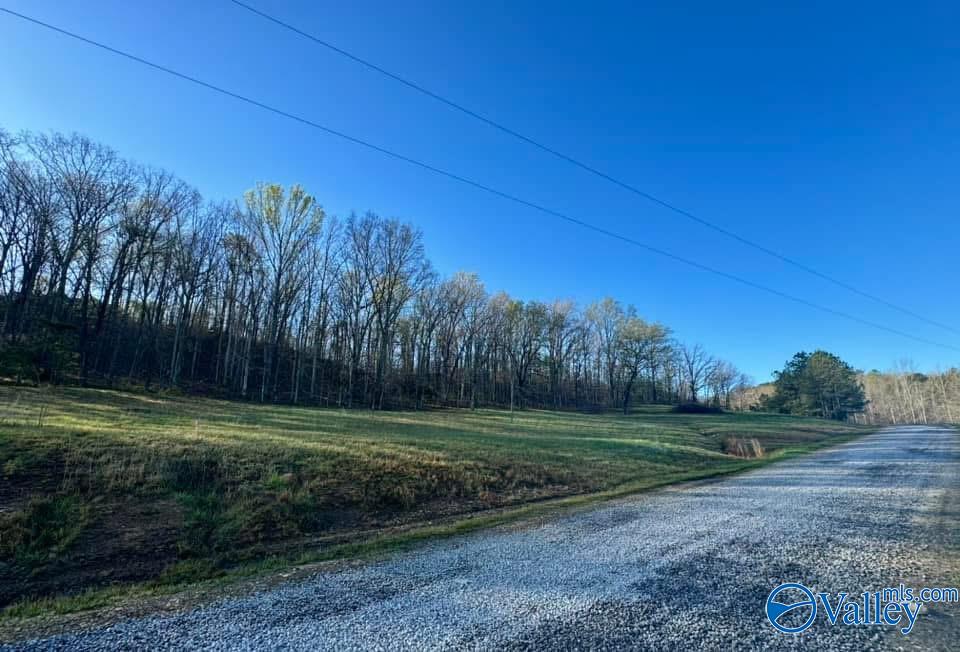 741 Poplar Springs Trail