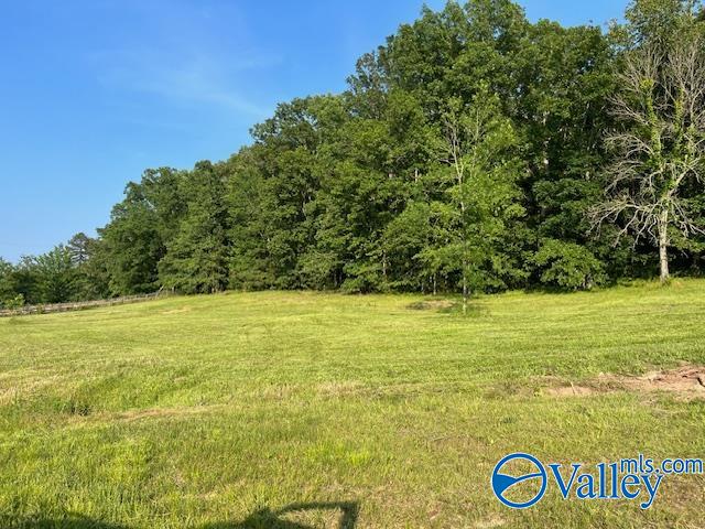 741 Poplar Springs Trail