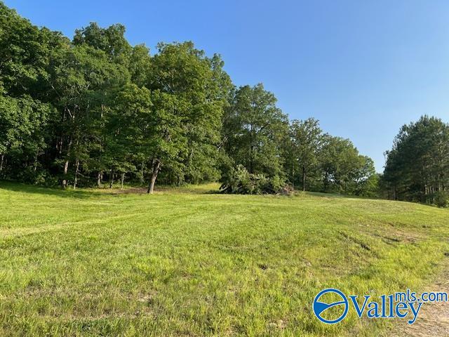 741 Poplar Springs Trail