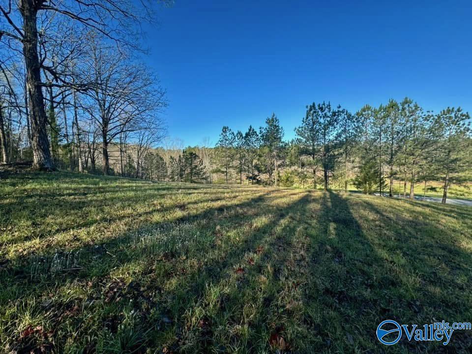 741 Poplar Springs Trail