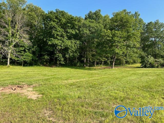 741 Poplar Springs Trail