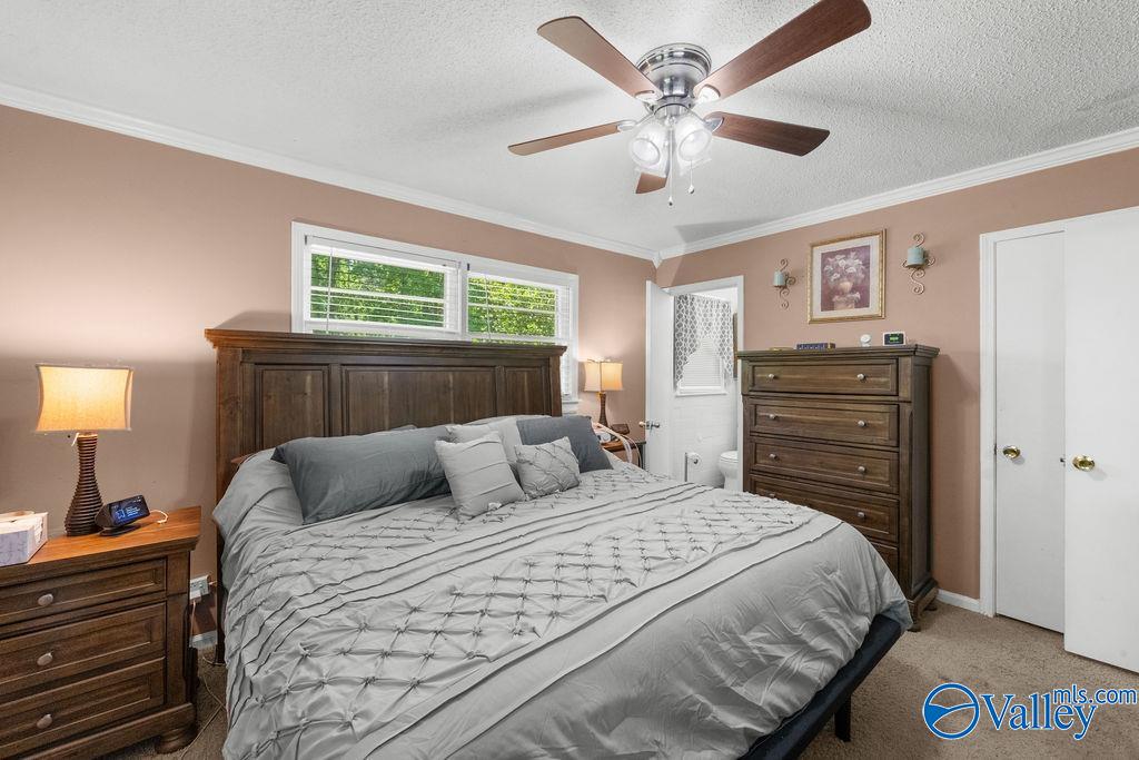 2417 Sunset Strip