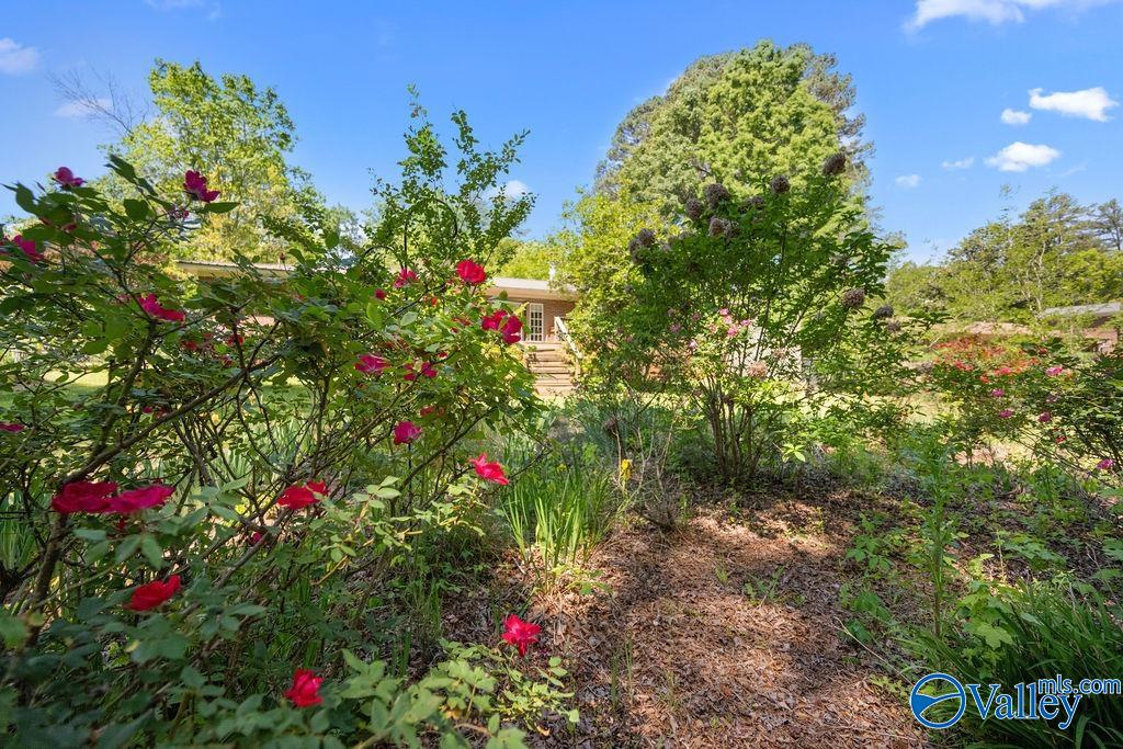 2417 Sunset Strip