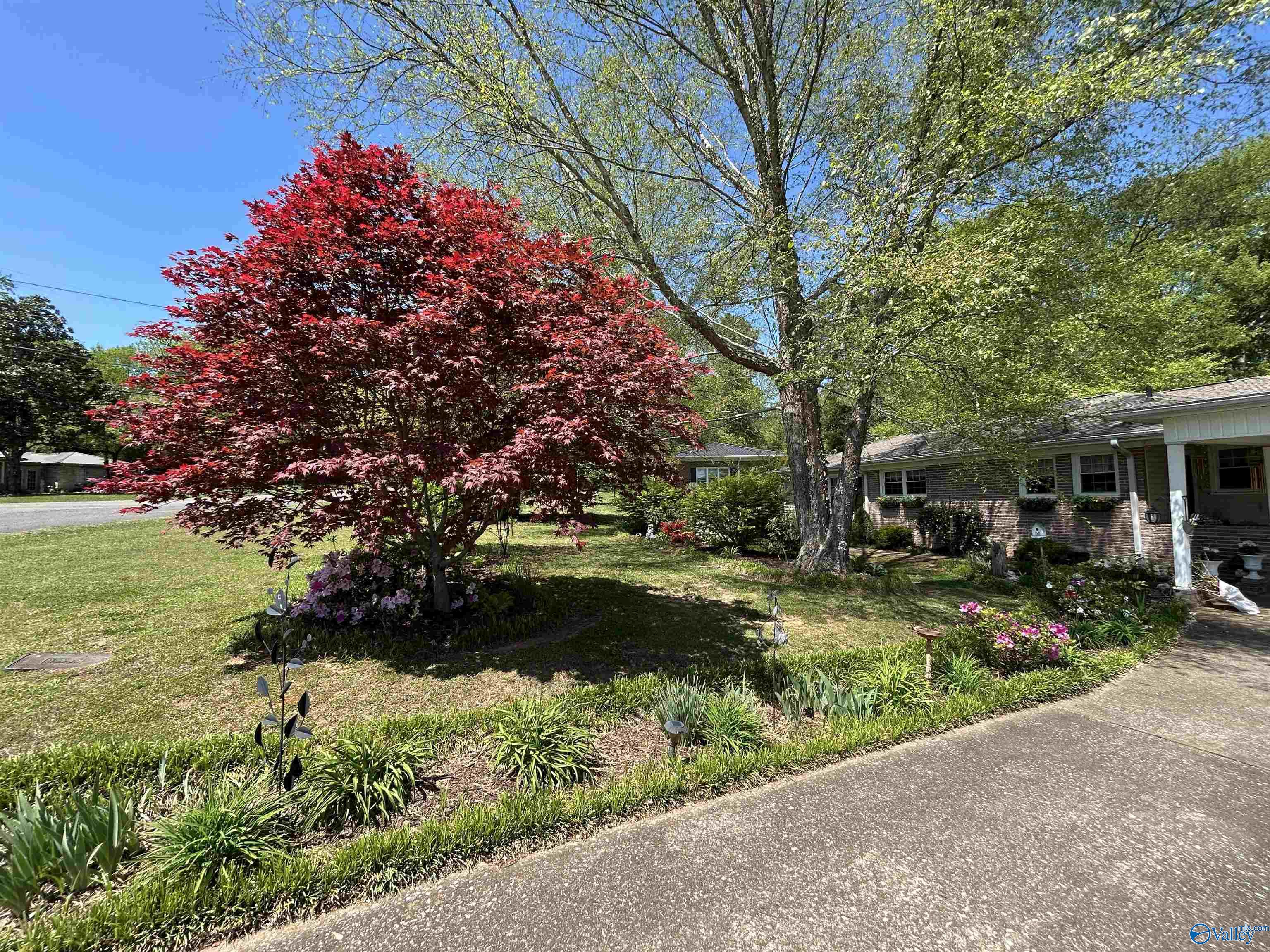 405 Mountain Drive