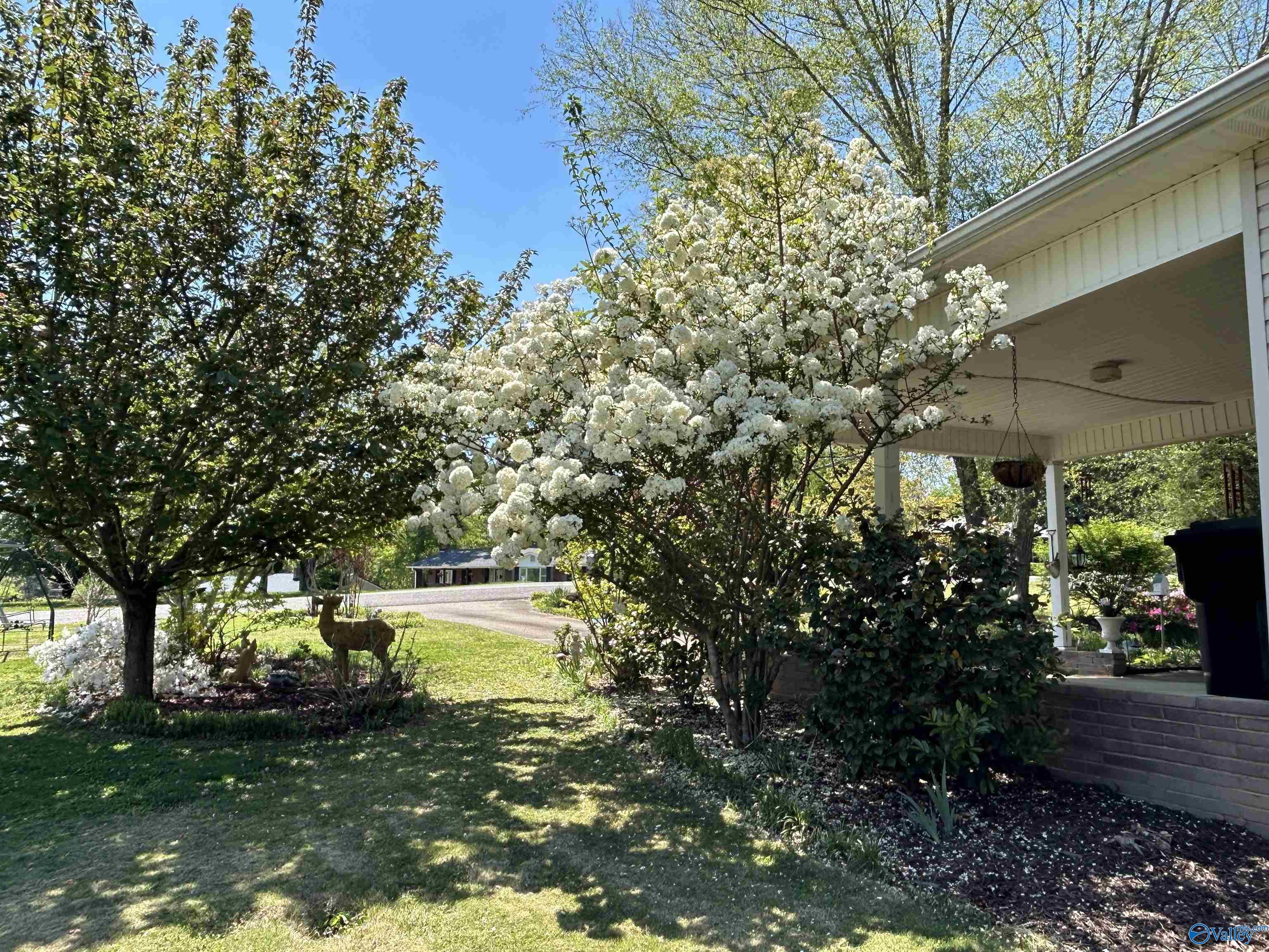 405 Mountain Drive