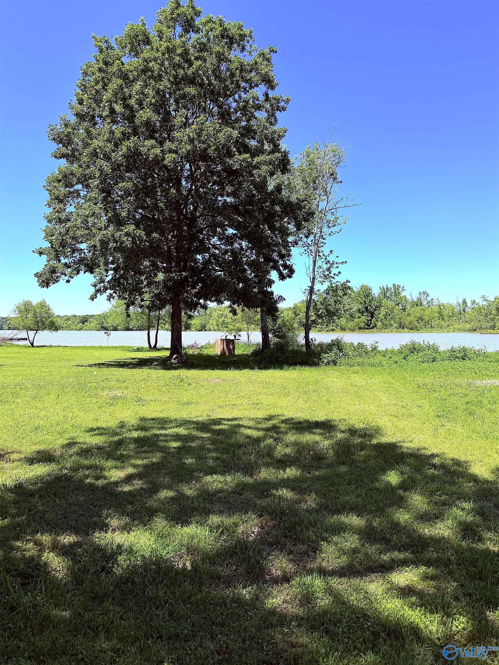 Lot 41 County Road 1008