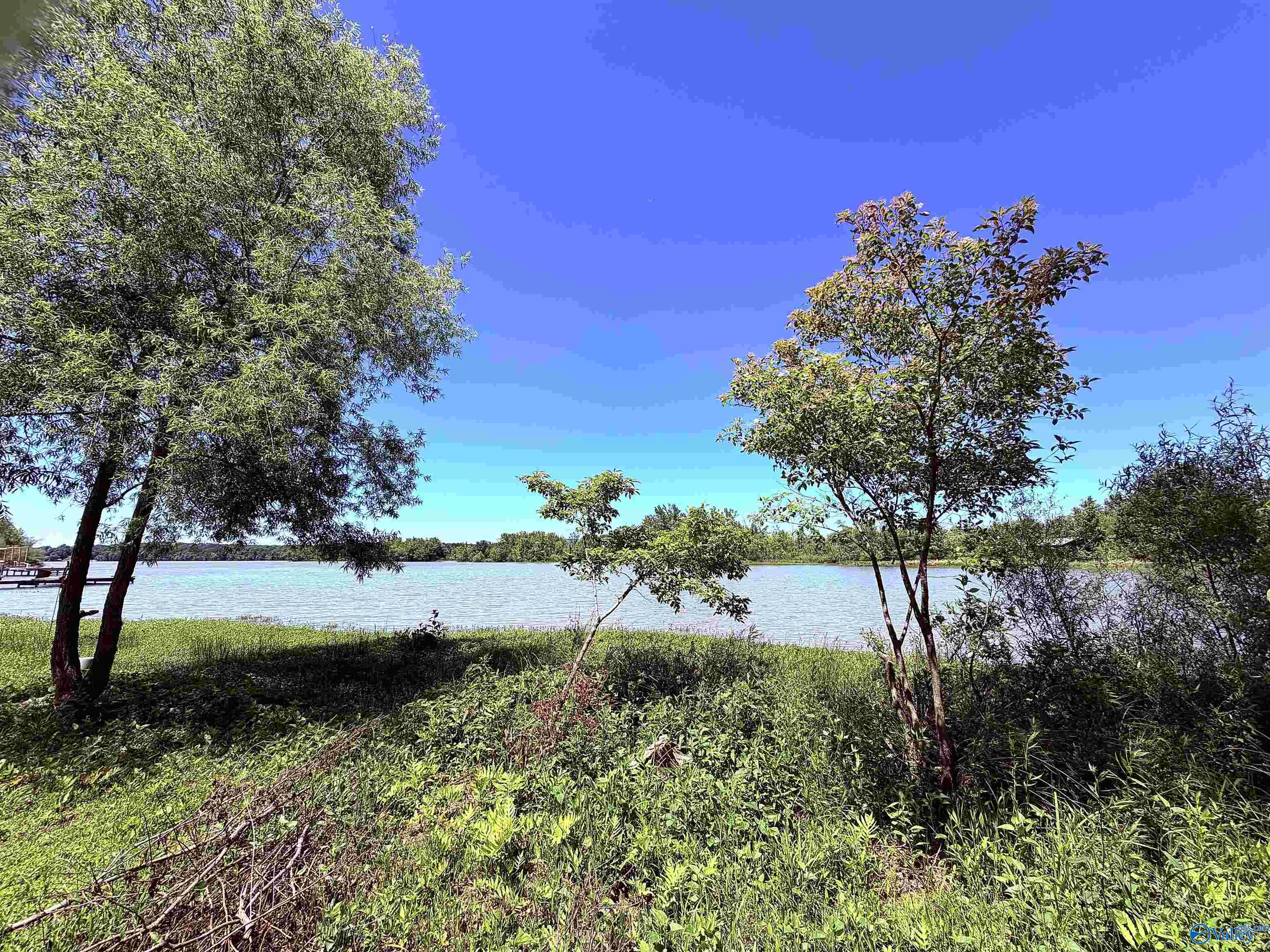 Lot 41 County Road 1008