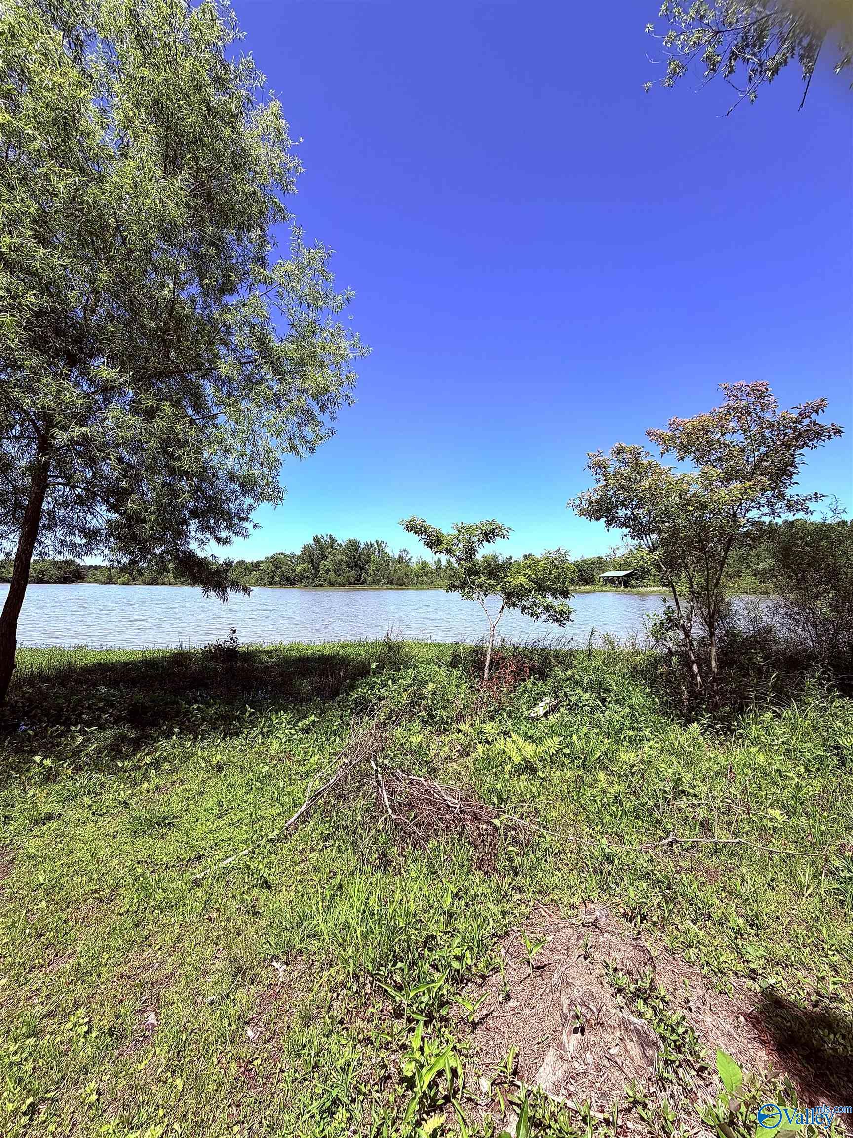 Lot 41 County Road 1008