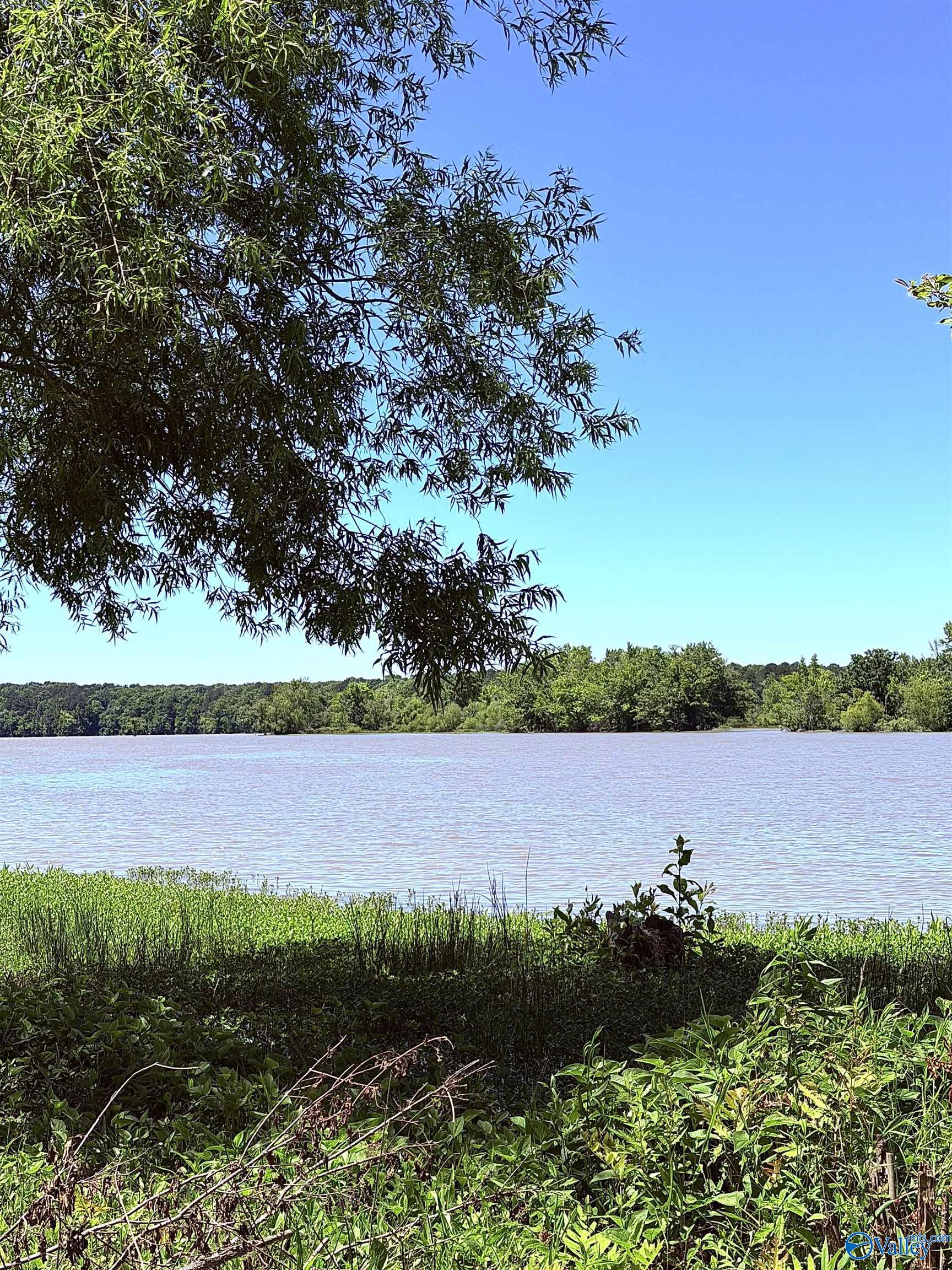 Lot 41 County Road 1008