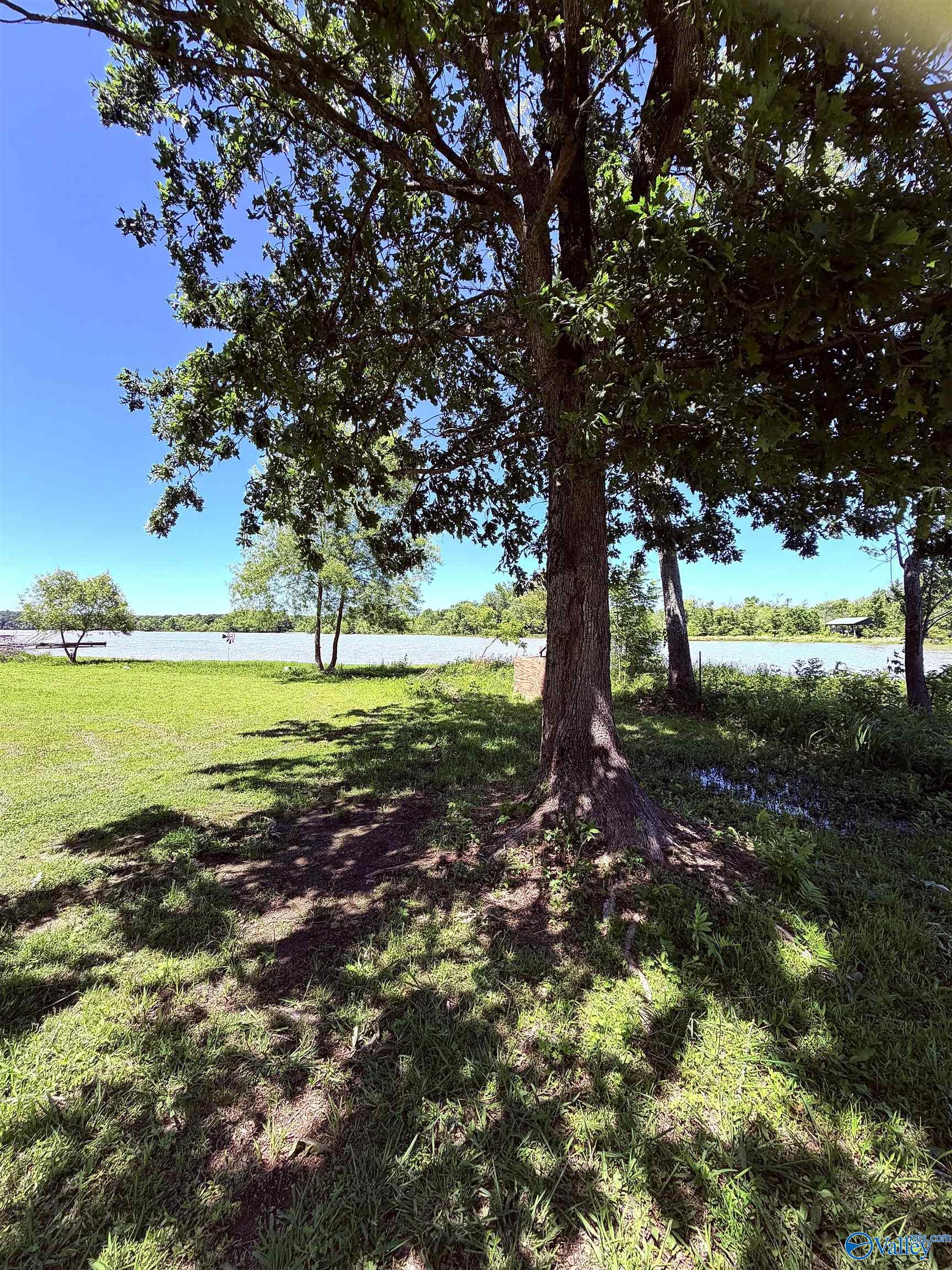 Lot 41 County Road 1008