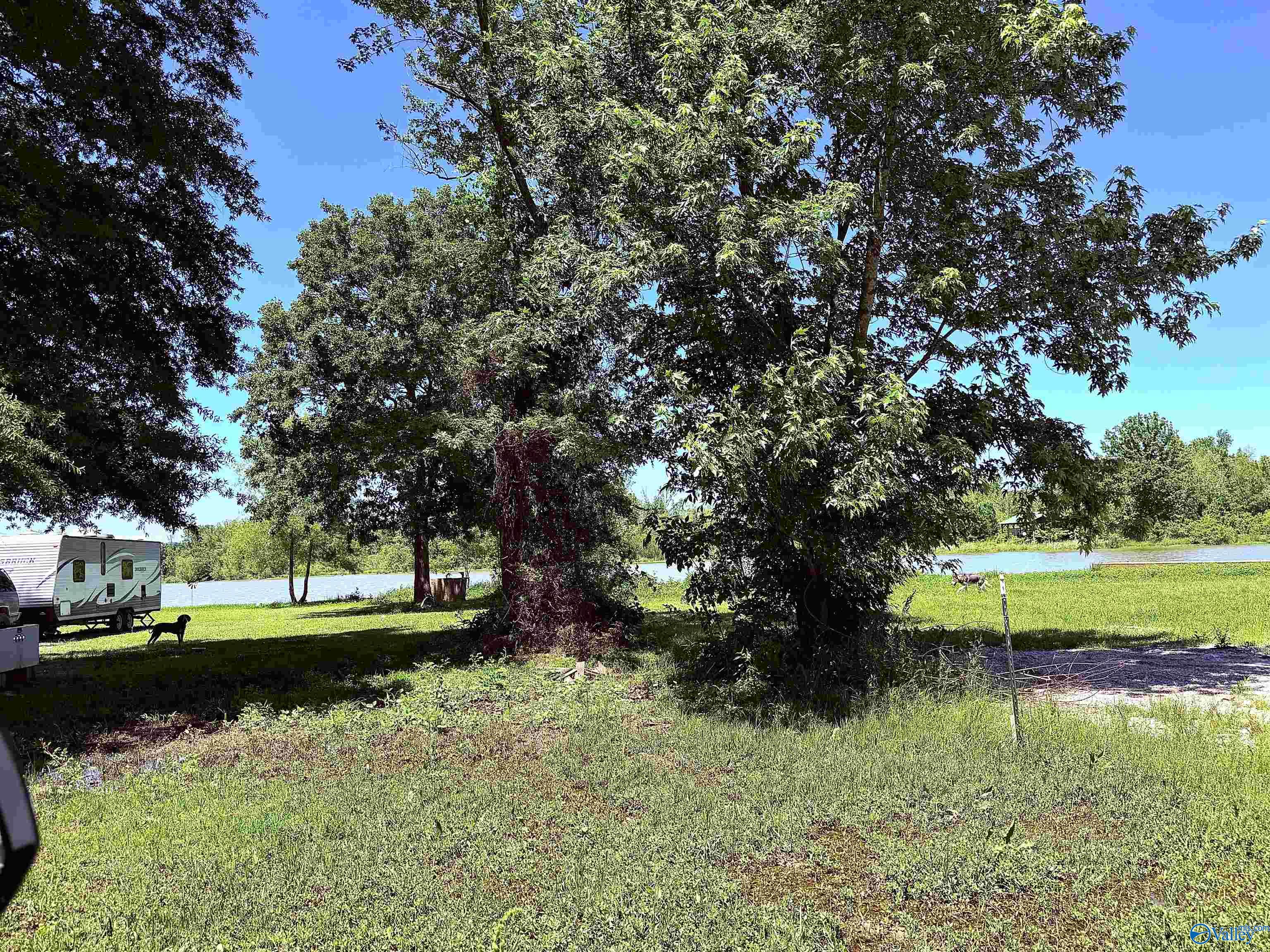 Lot 41 County Road 1008