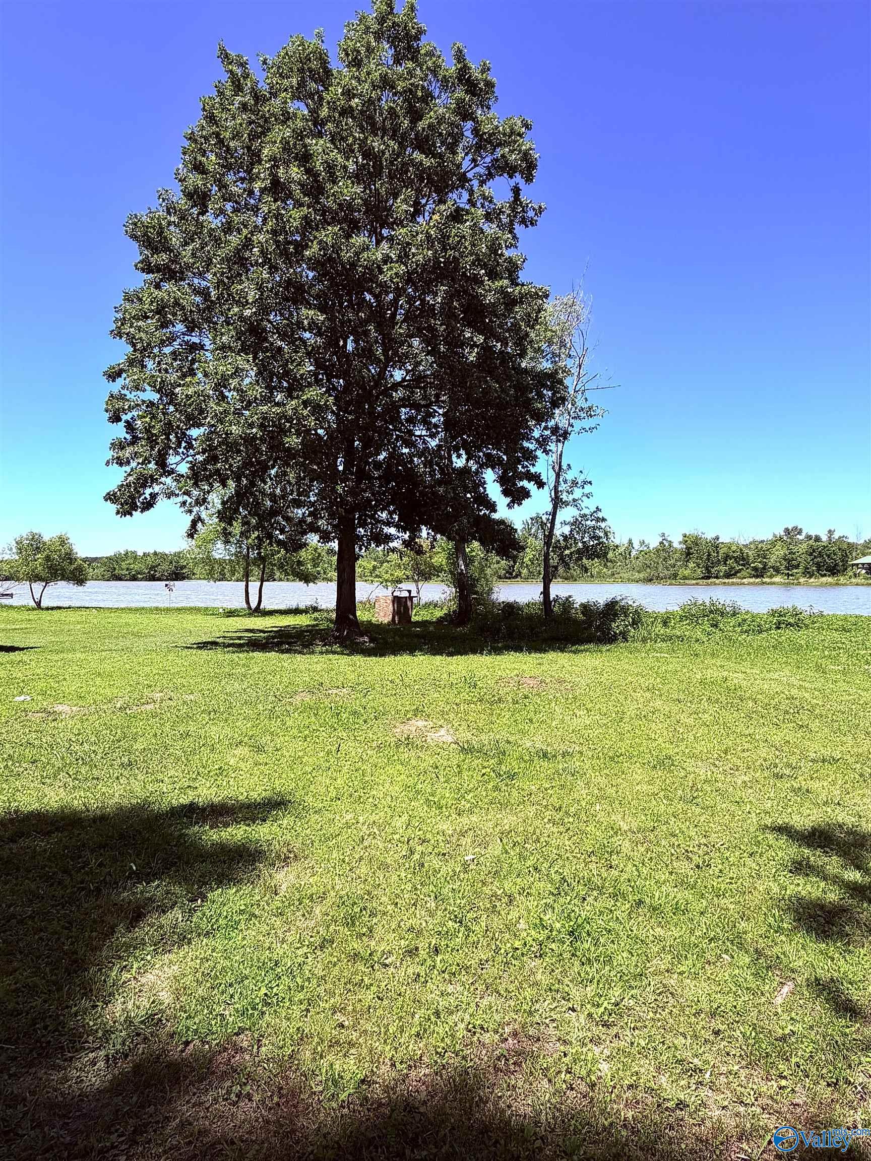 Lot 41 County Road 1008
