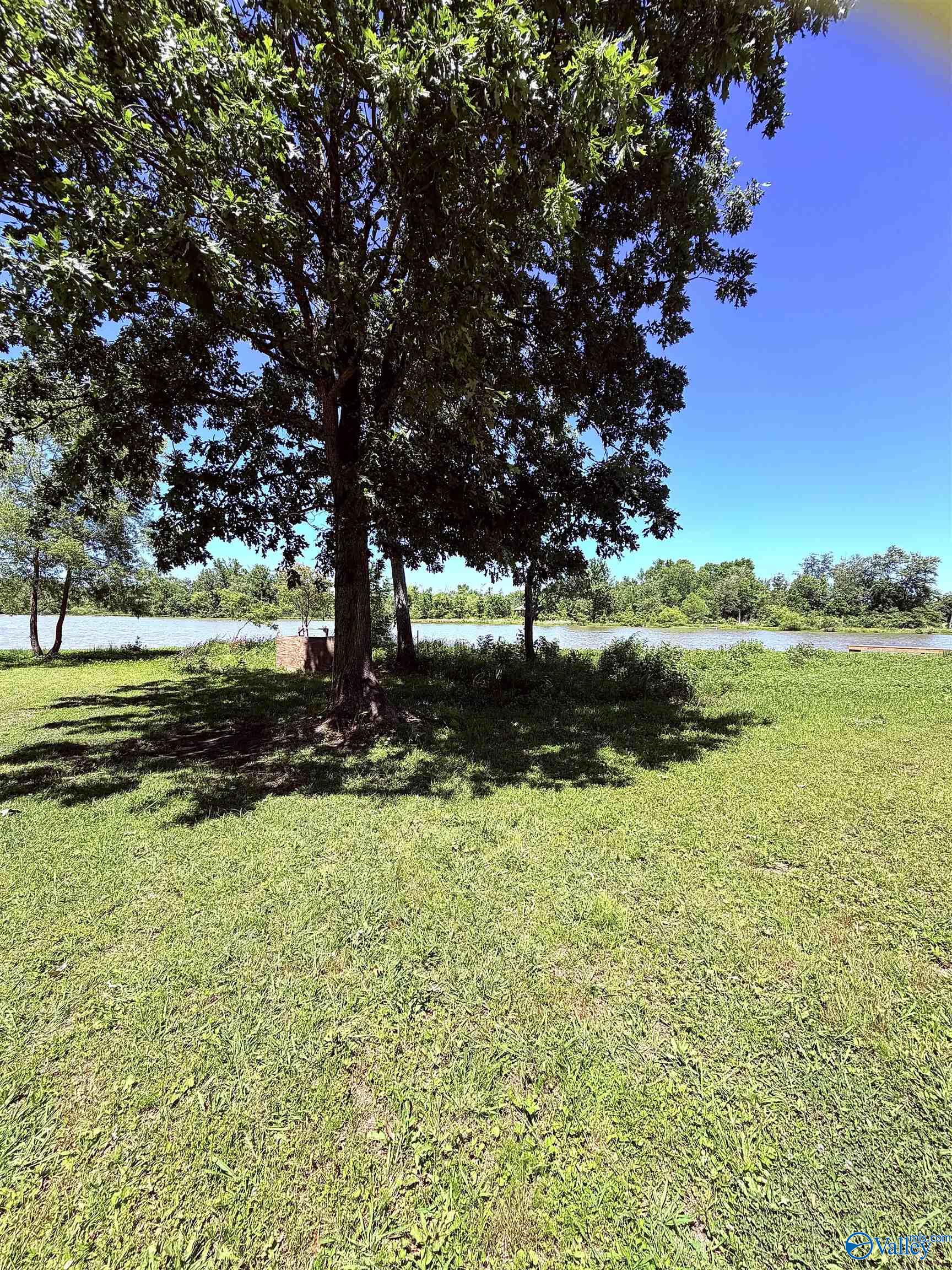 Lot 41 County Road 1008