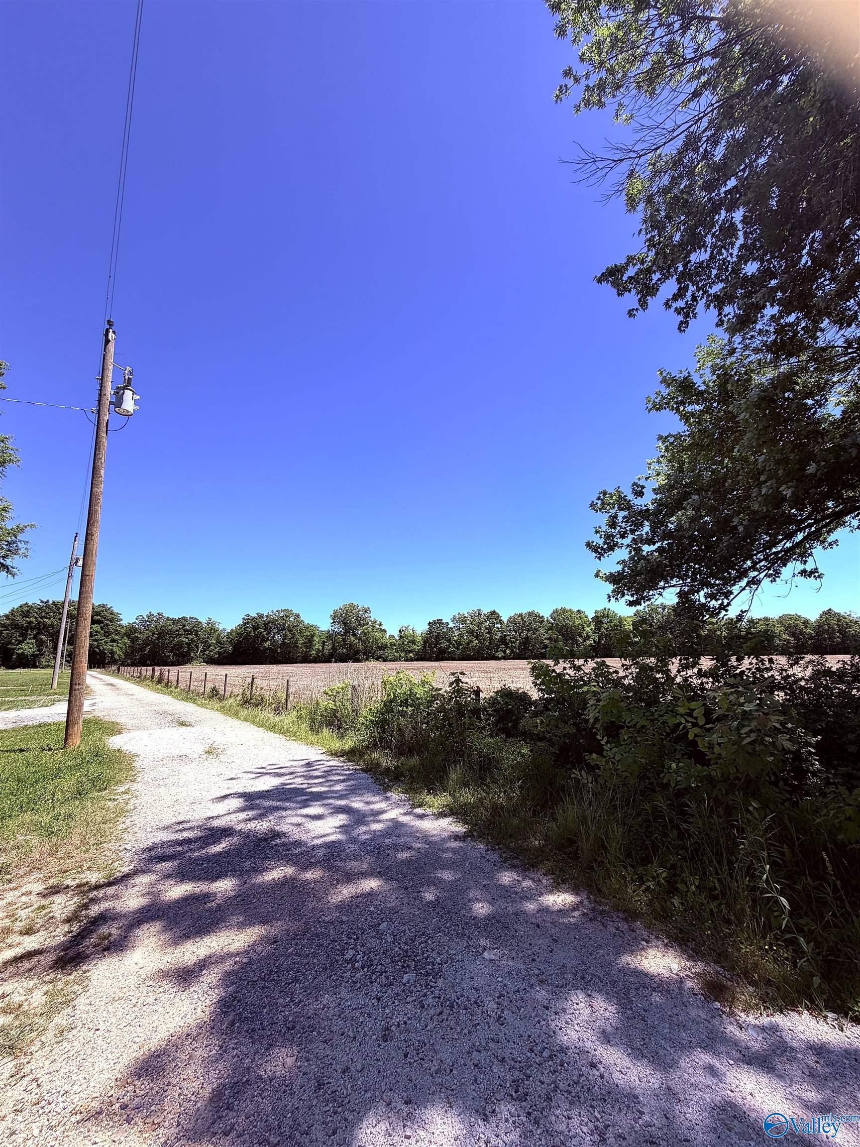 Lot 41 County Road 1008