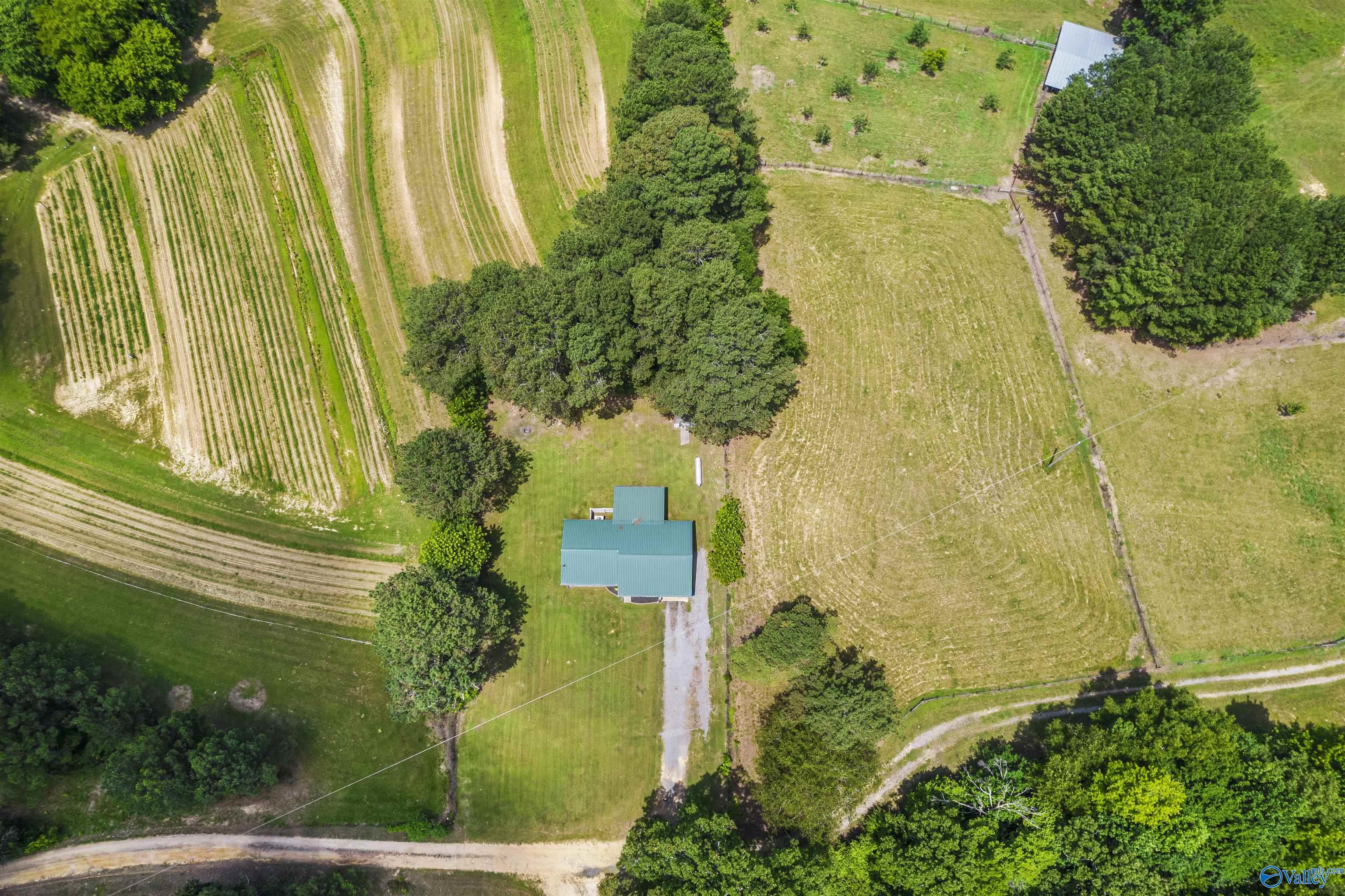 419 County Road 582