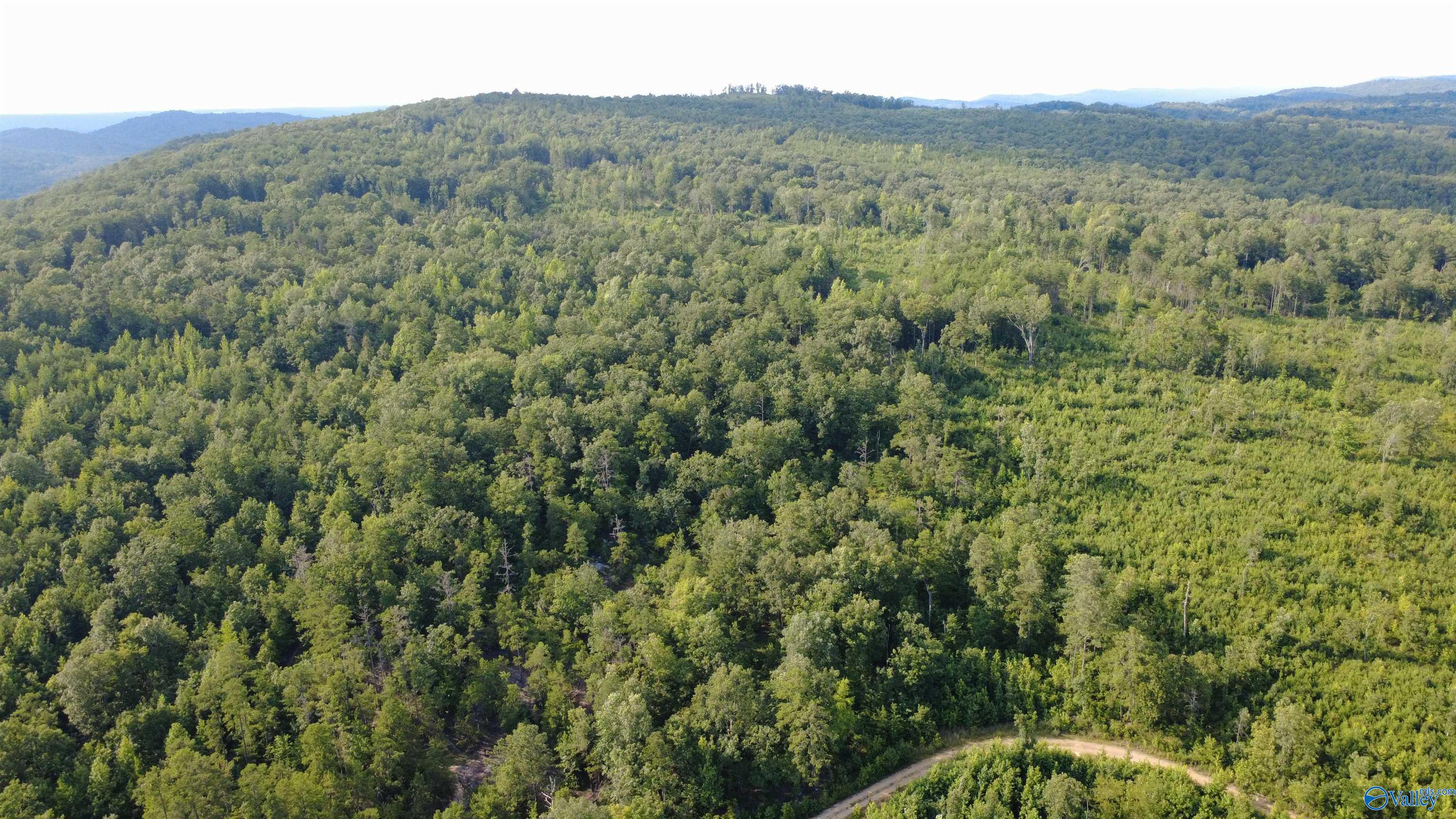 199 Acres Hornbuckle Road