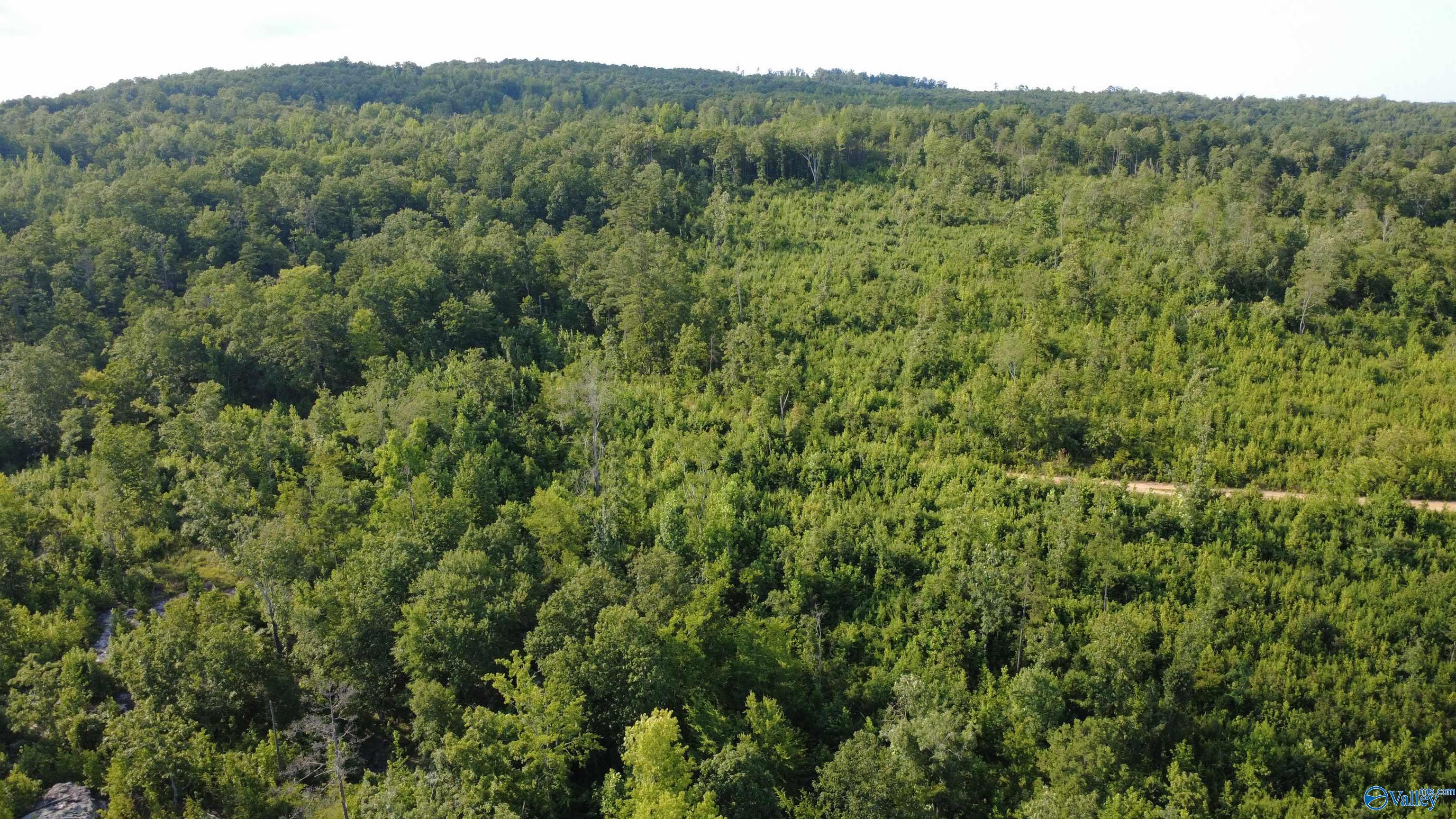 199 Acres Hornbuckle Road
