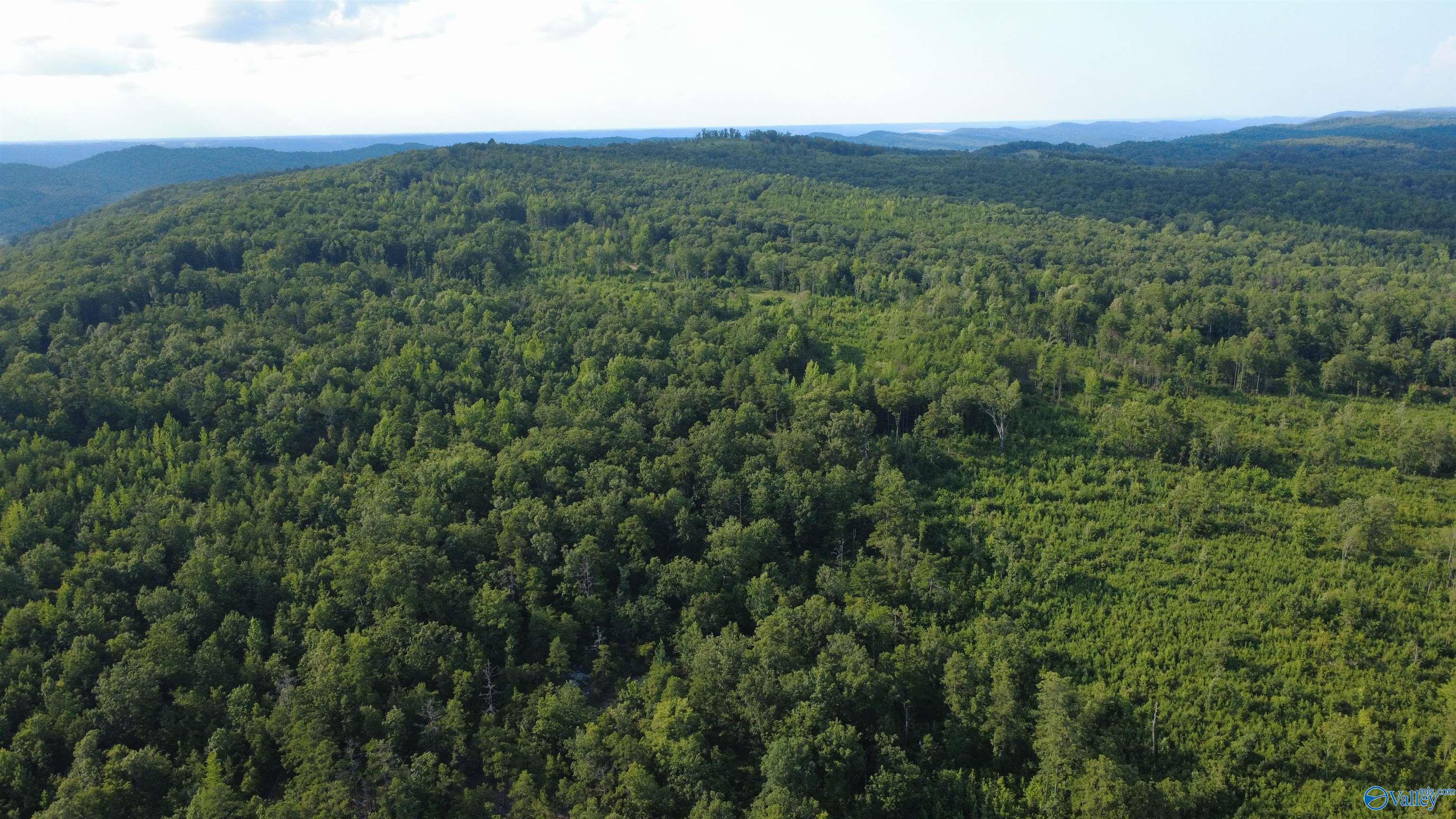199 Acres Hornbuckle Road