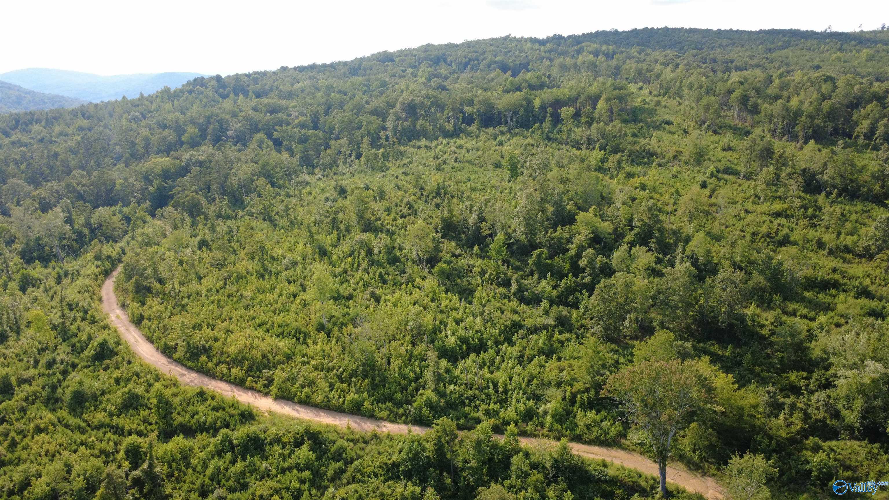 199 Acres Hornbuckle Road