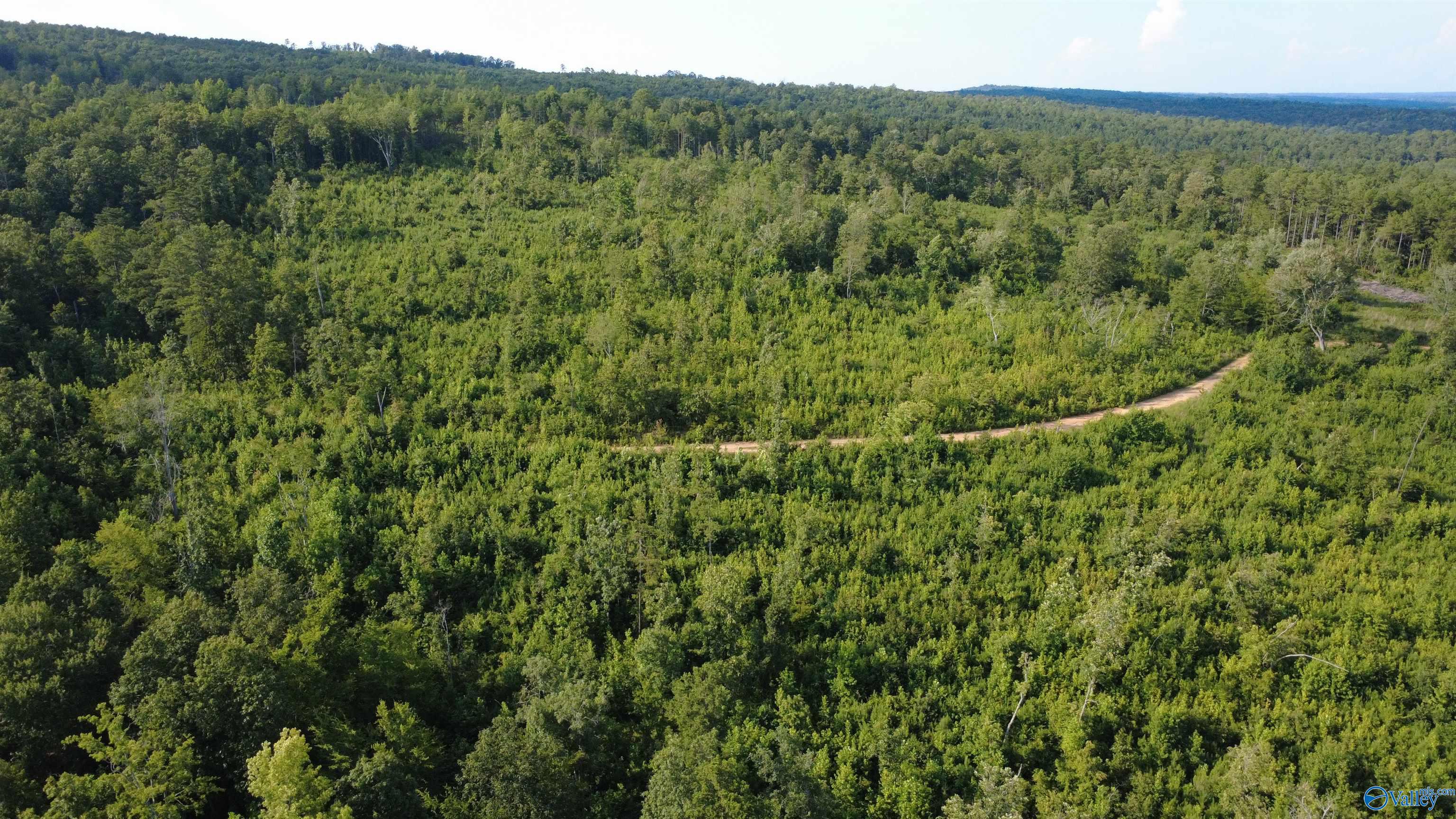199 Acres Hornbuckle Road