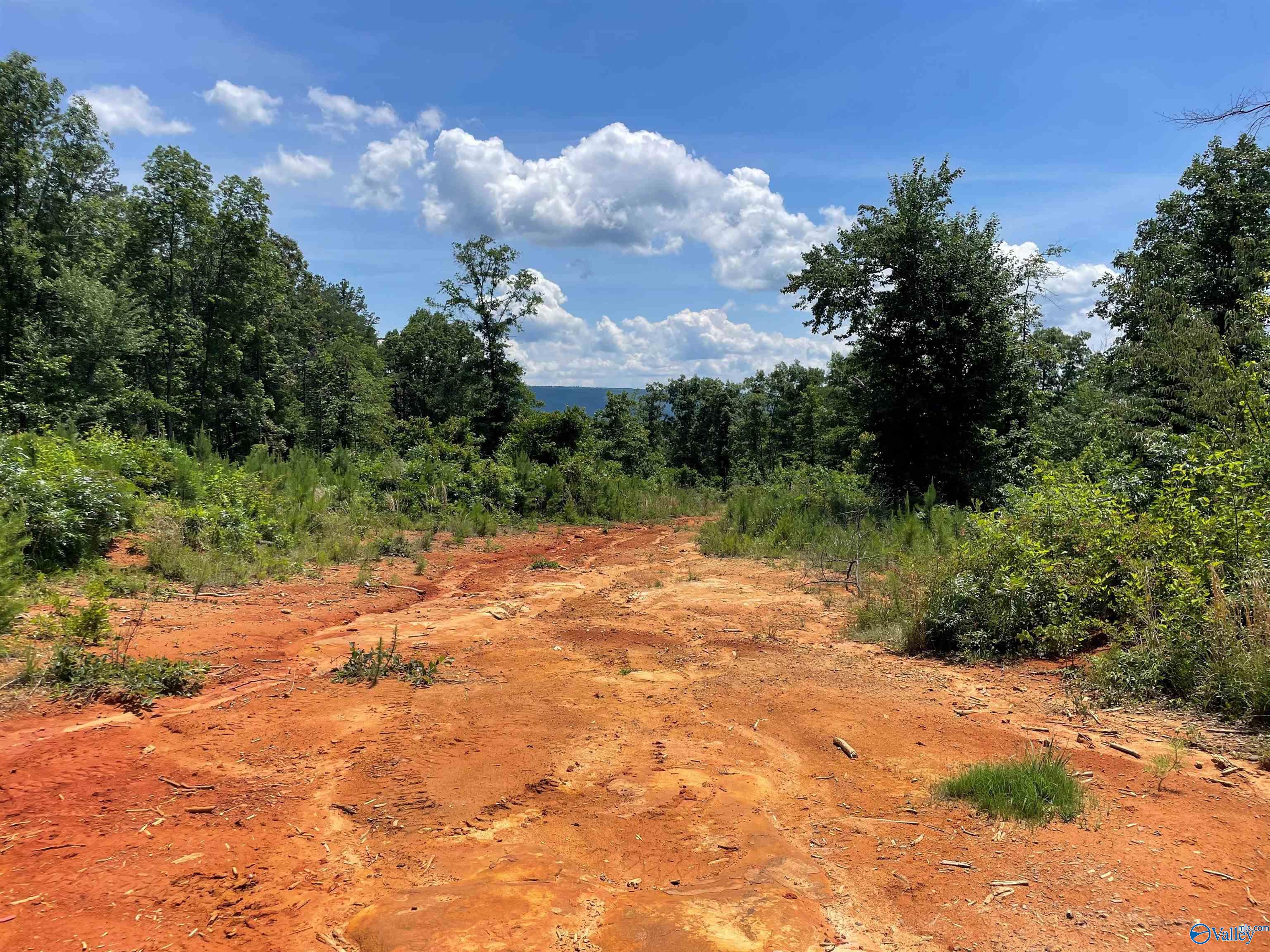 199 Acres Hornbuckle Road