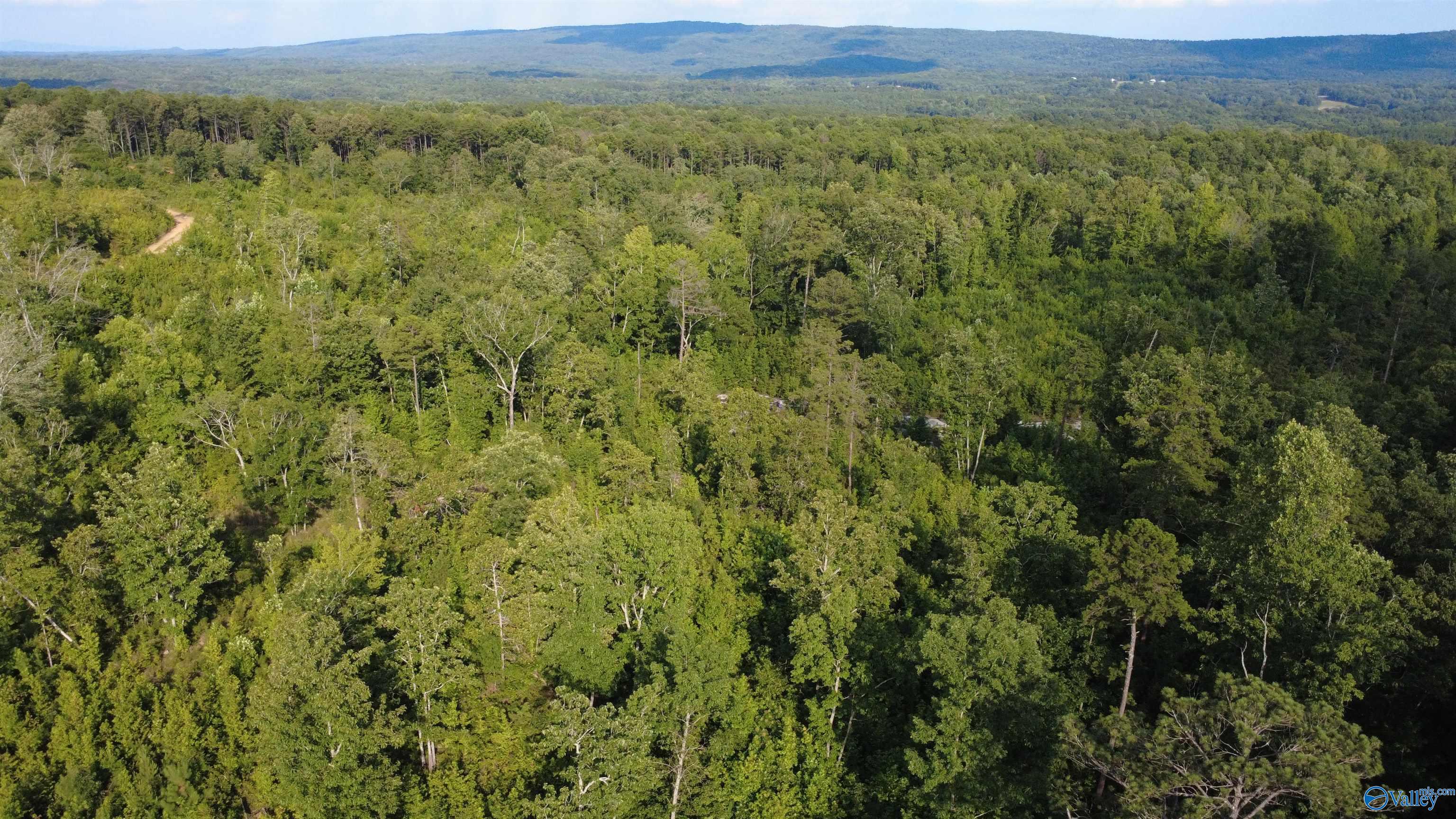 199 Acres Hornbuckle Road