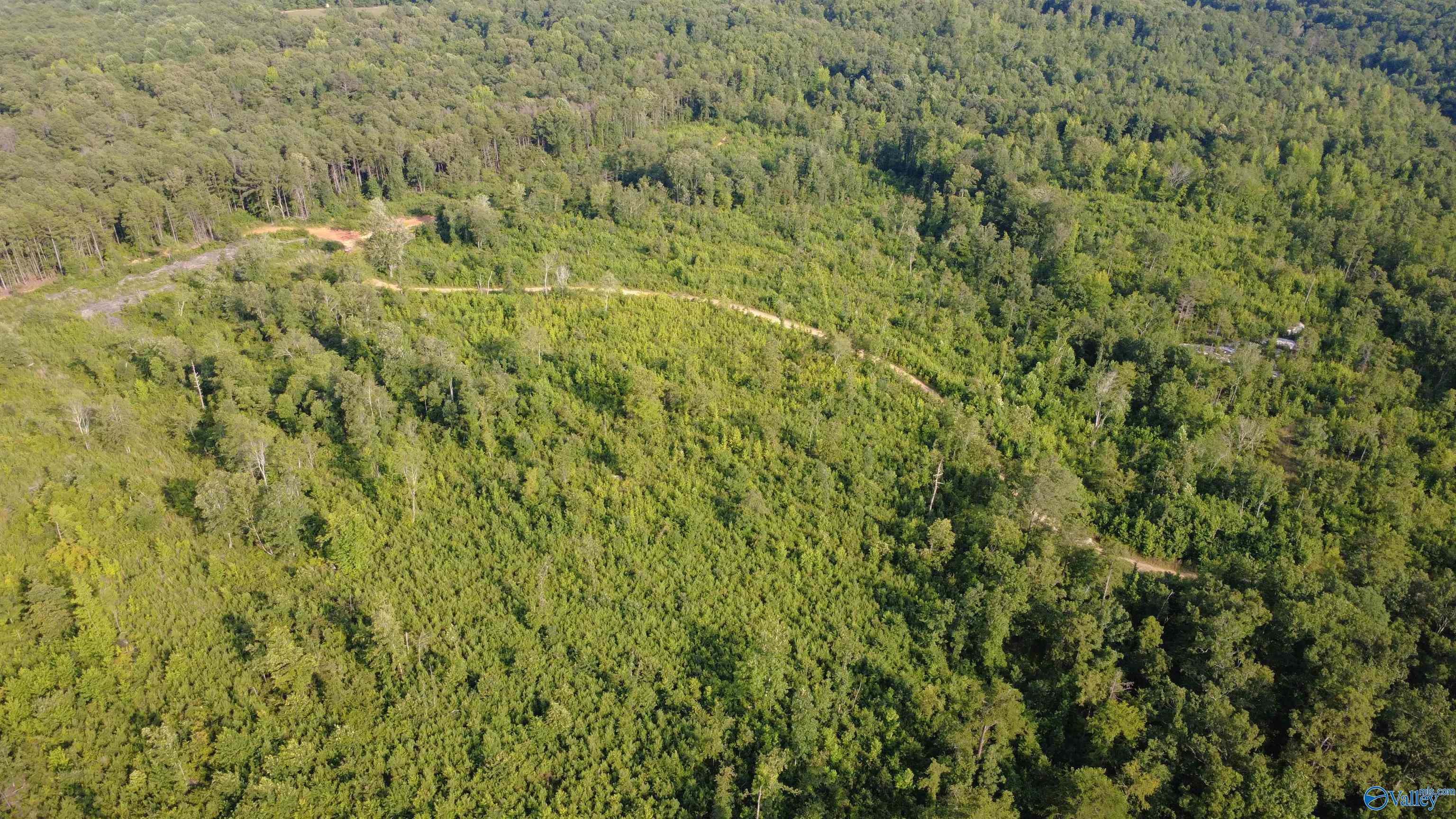 199 Acres Hornbuckle Road