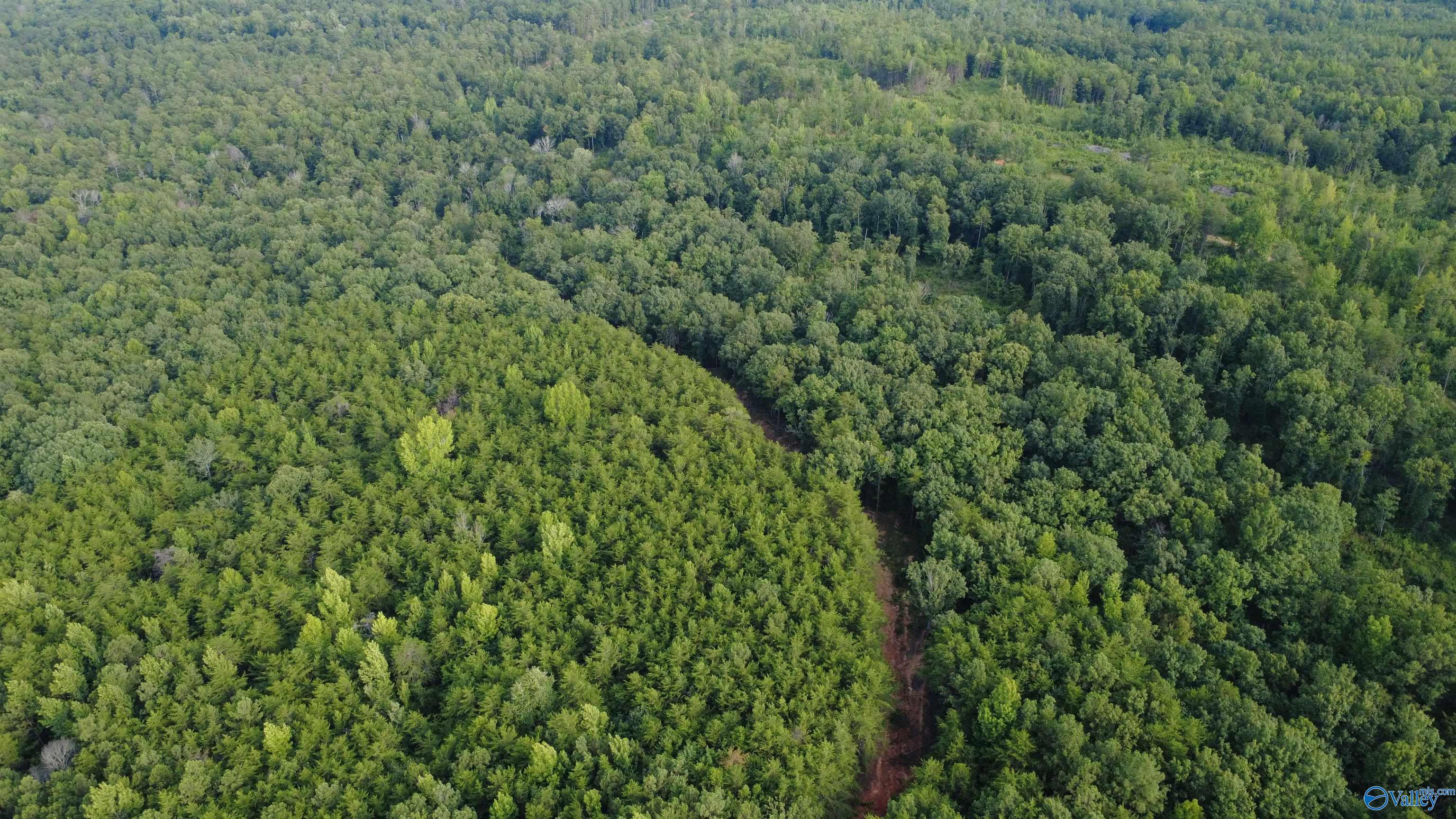 199 Acres Hornbuckle Road