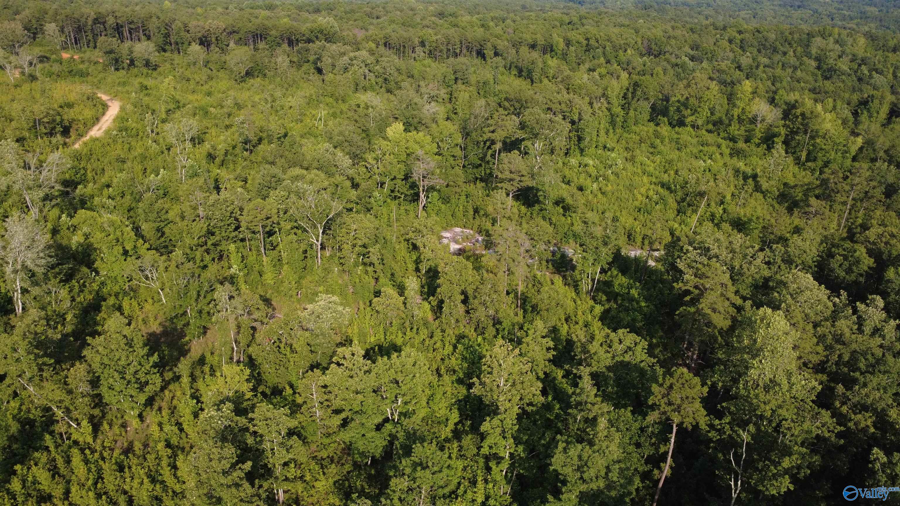 199 Acres Hornbuckle Road