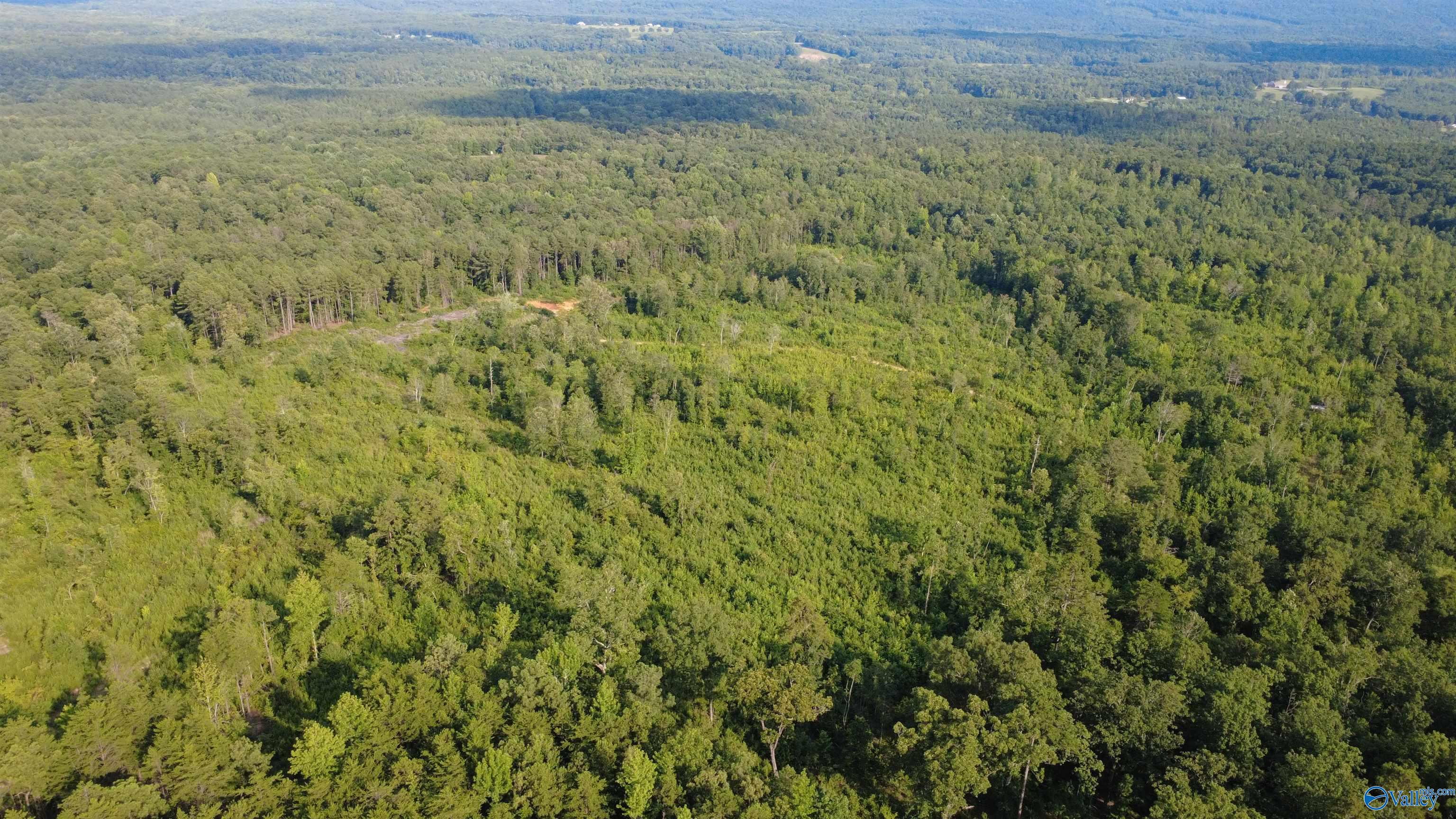 199 Acres Hornbuckle Road
