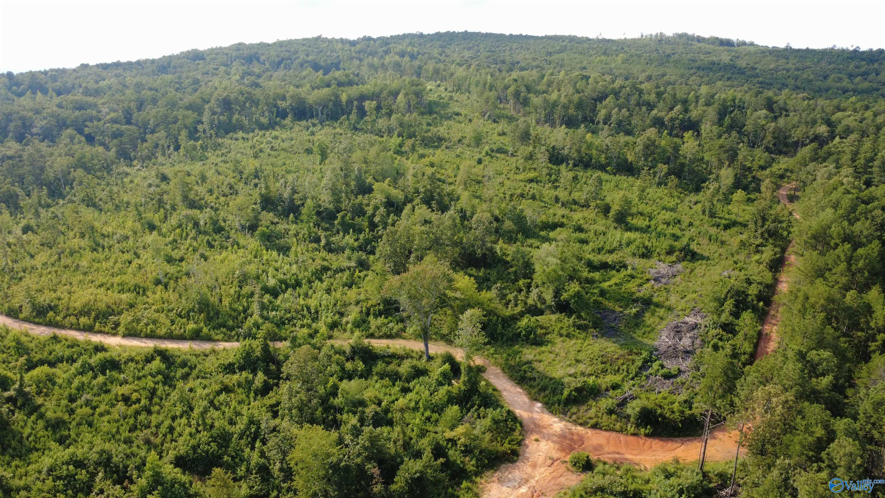 199 Acres Hornbuckle Road