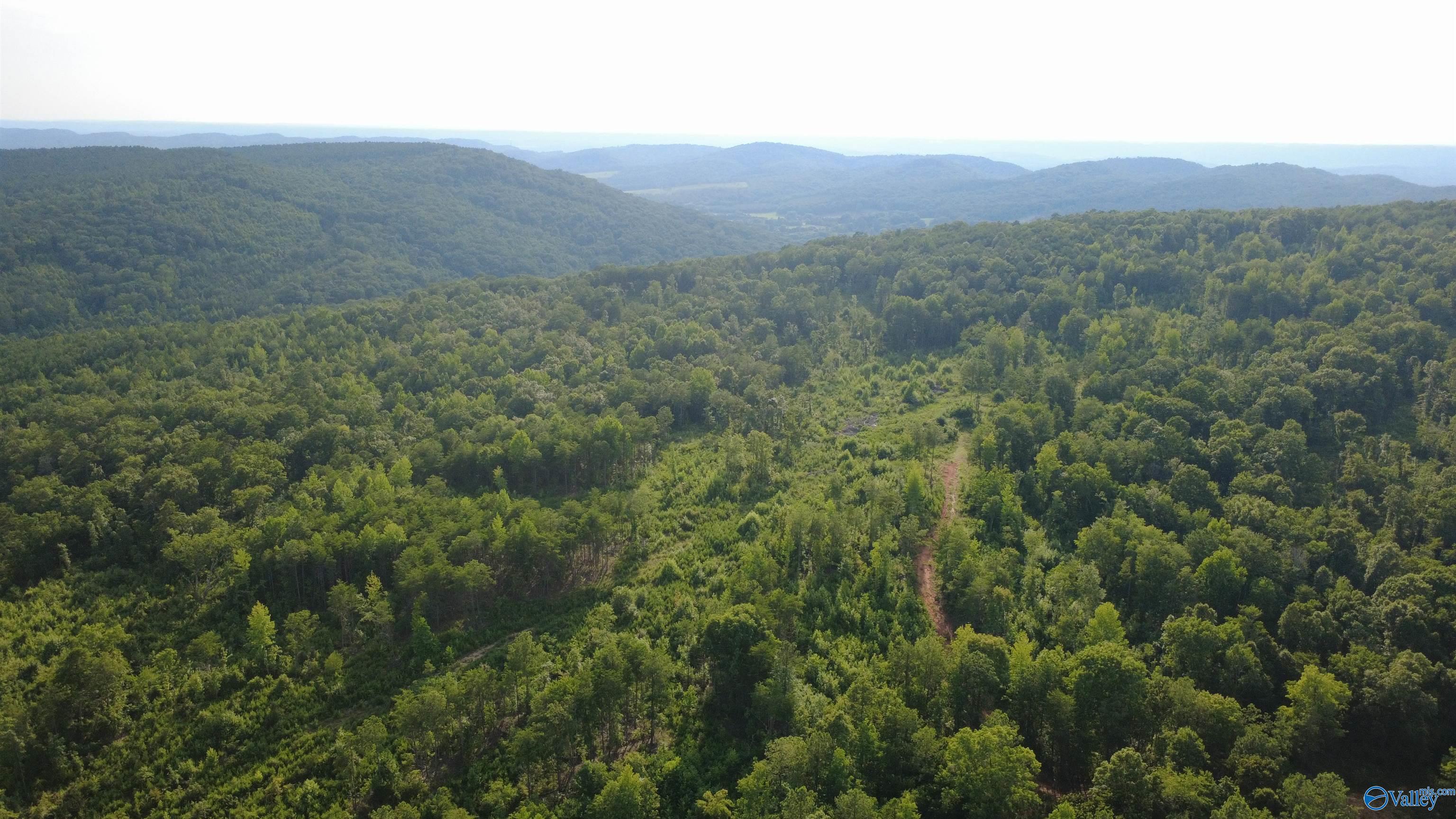 199 Acres Hornbuckle Road