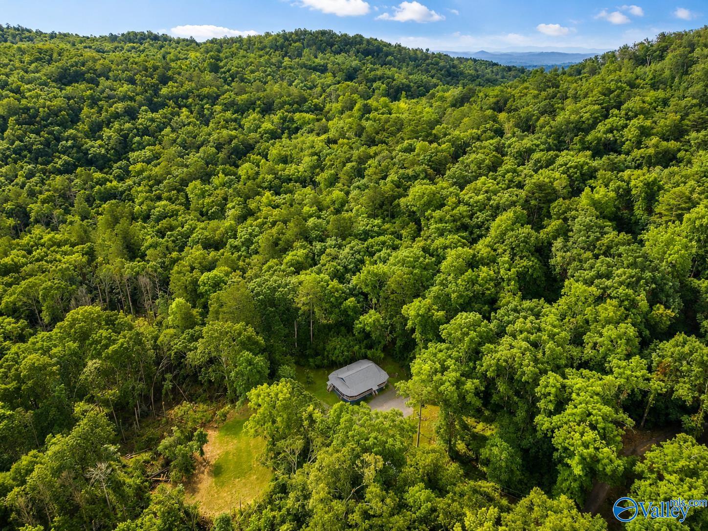 4530 Matt Smith Road