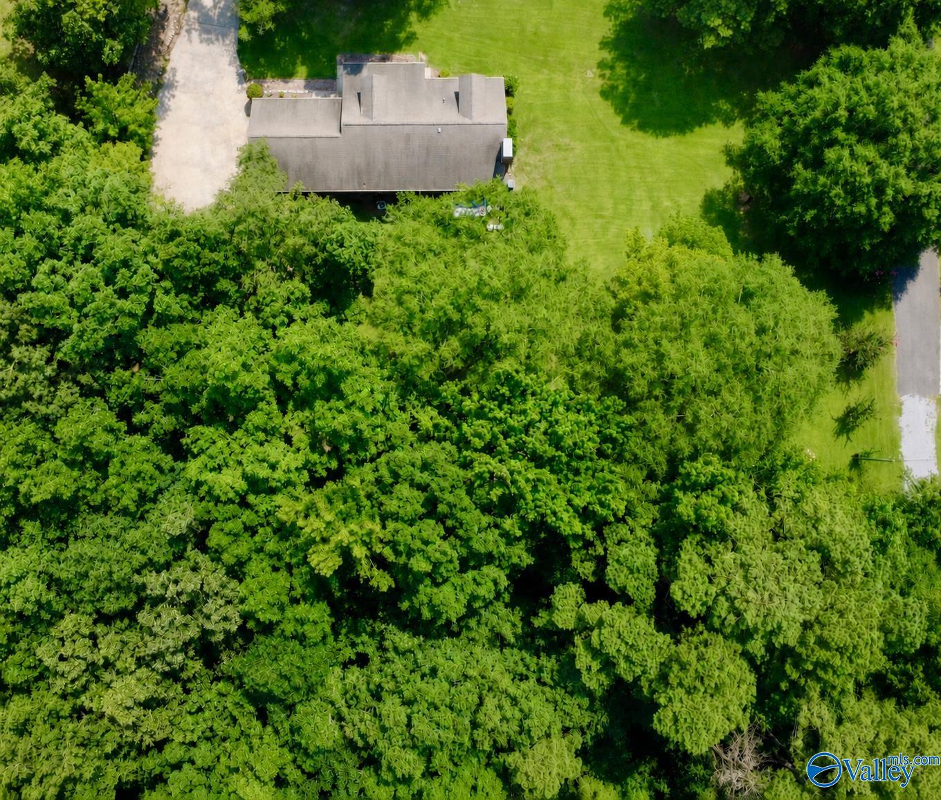 424 Shamrock Lane